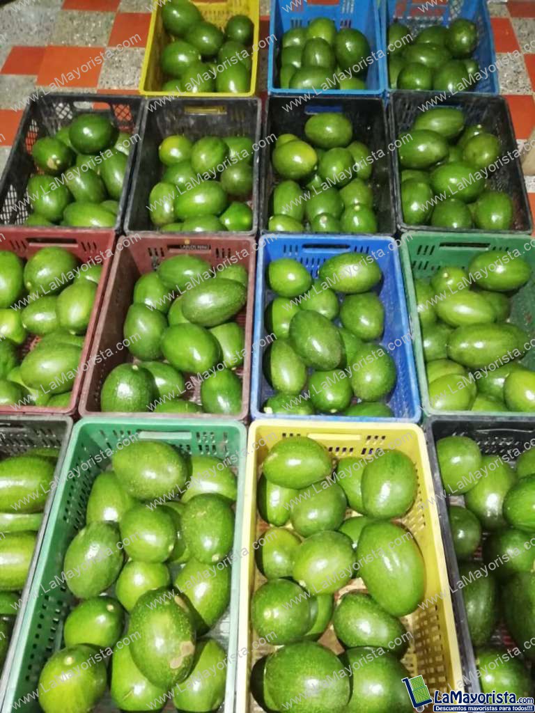 Aguacate papelillo