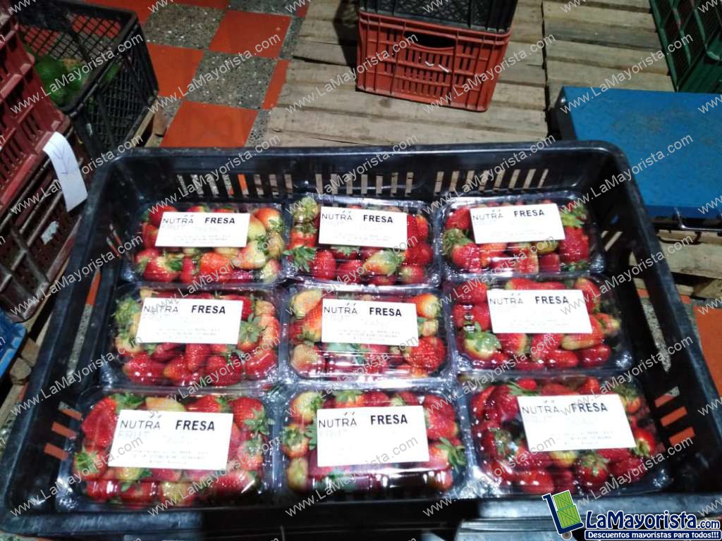 Fresa x500g