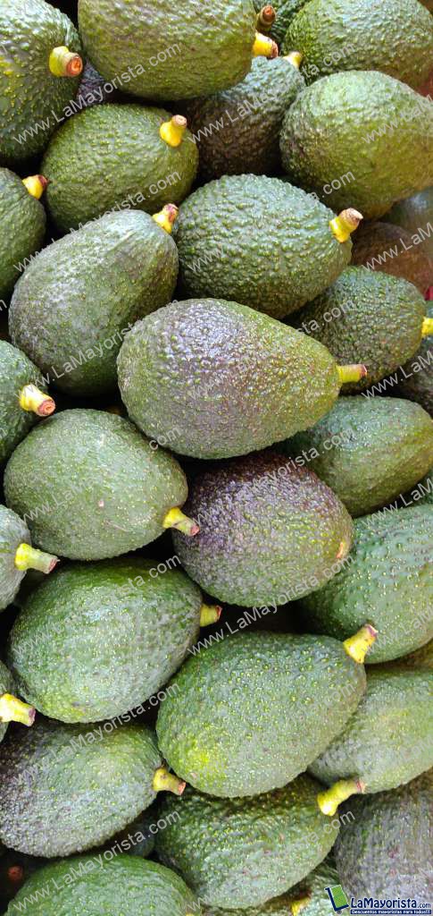 Aguacate hass
