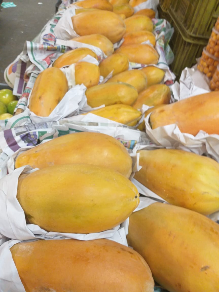 Papaya