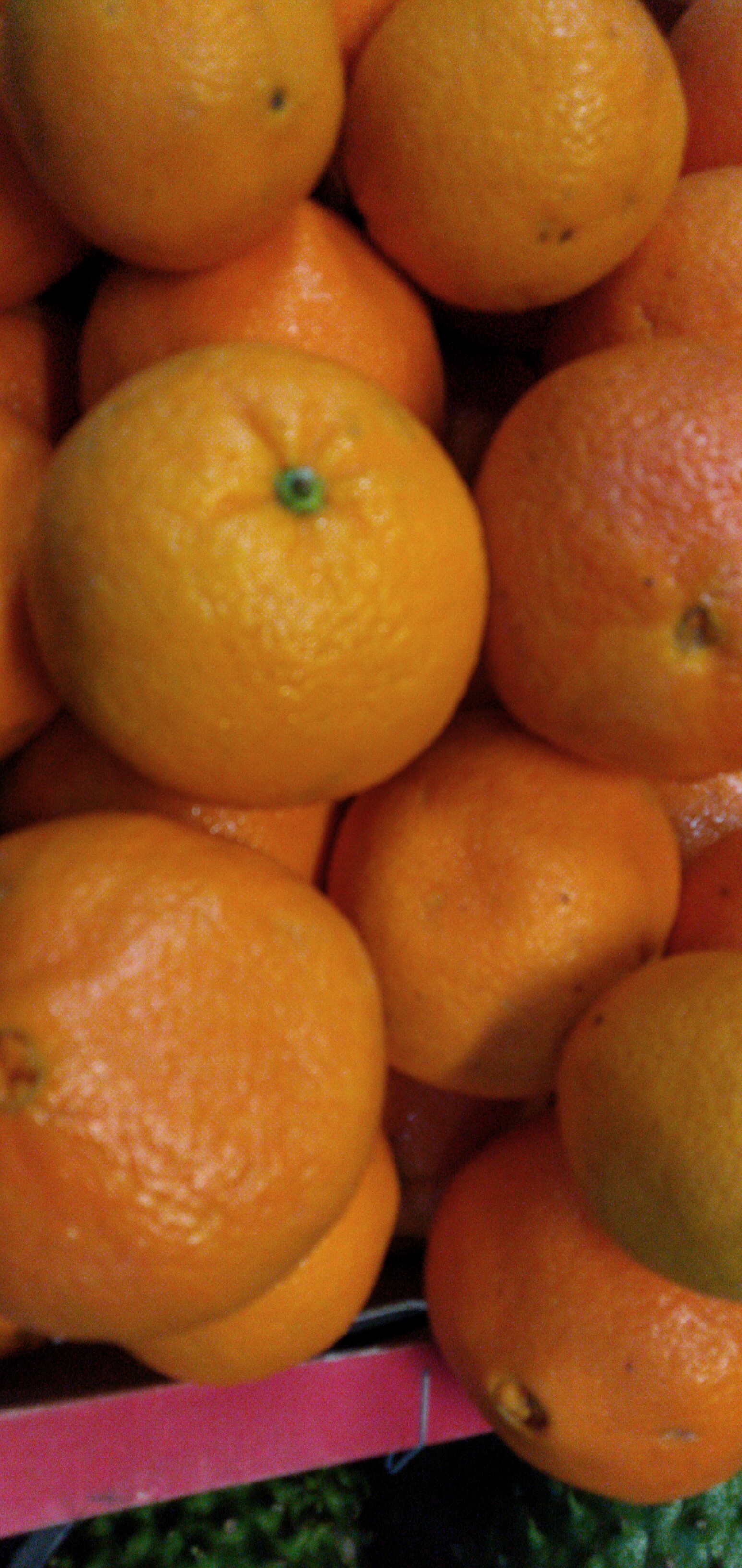 Naranja chilena