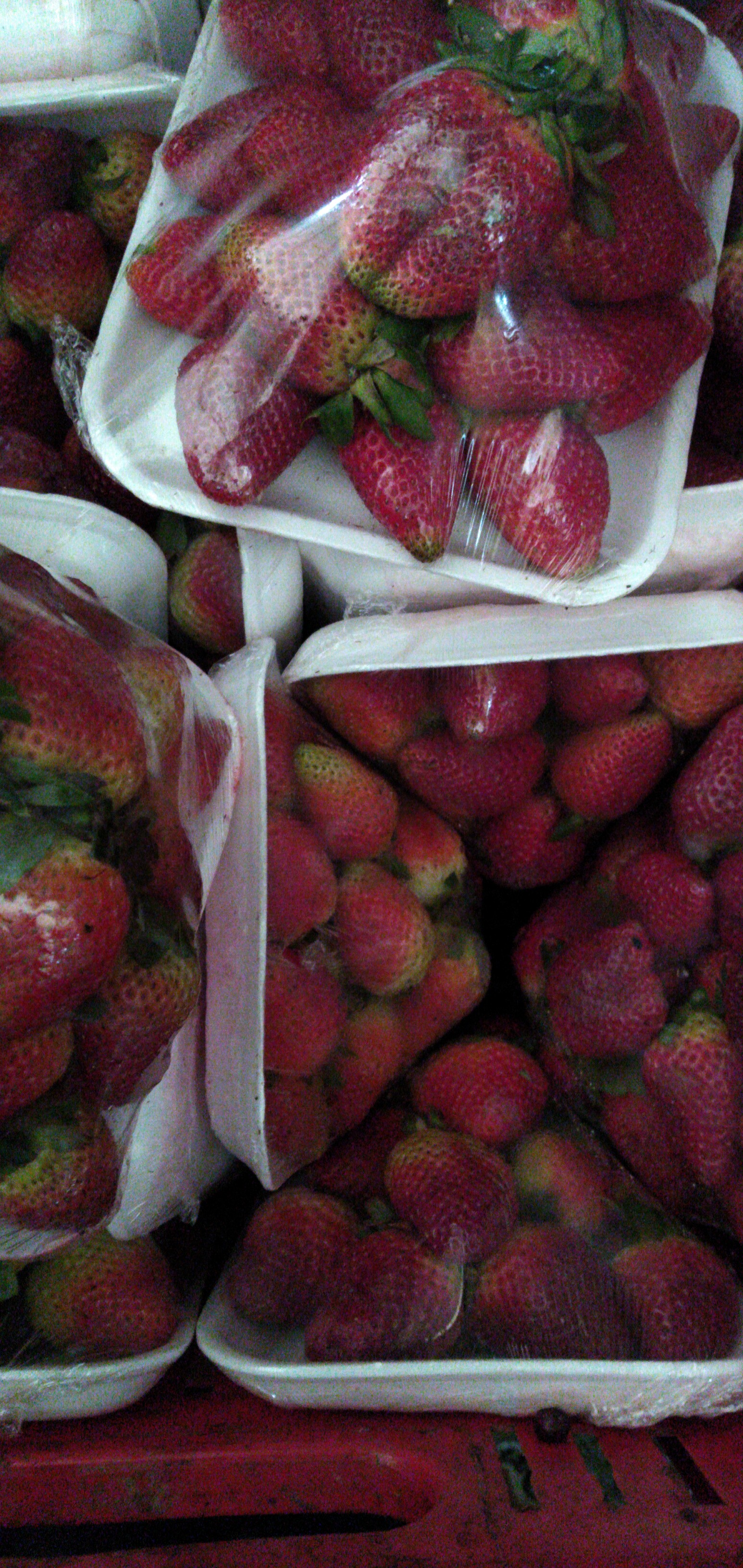 Fresas bandeja