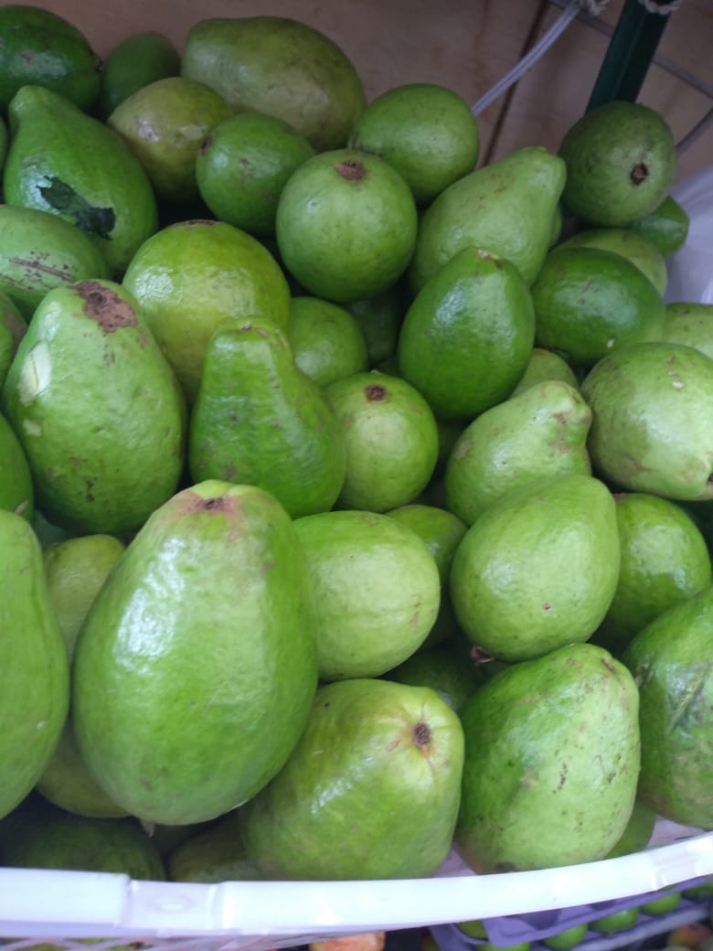 Guayaba pera