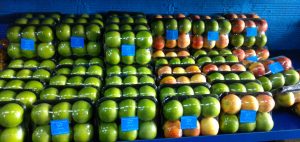 Manzana verde y gala bandeja