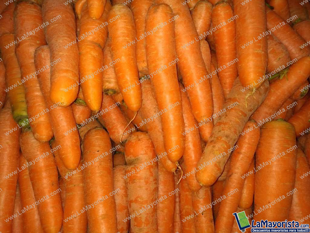 Zanahoria