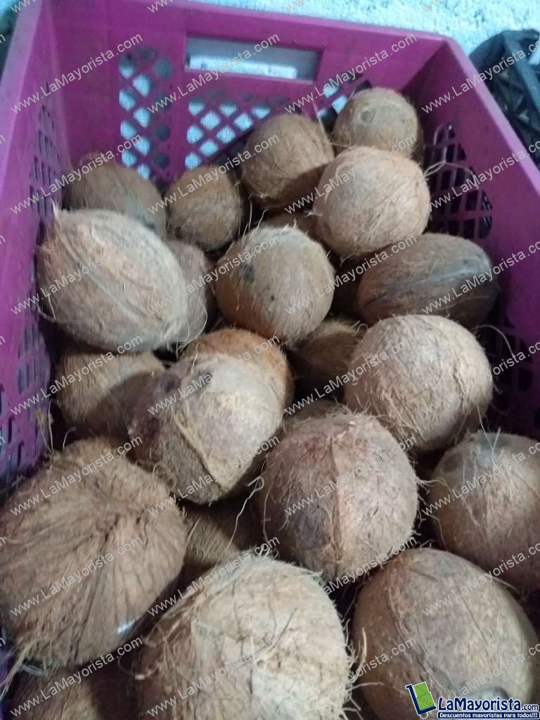 Coco pequeño
