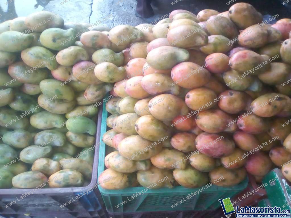Mango de chupa