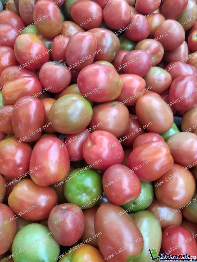 Tomate chonto