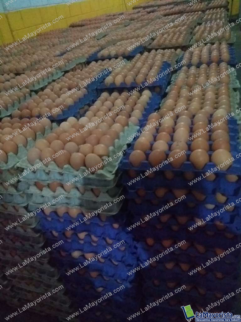 Huevos tipo A