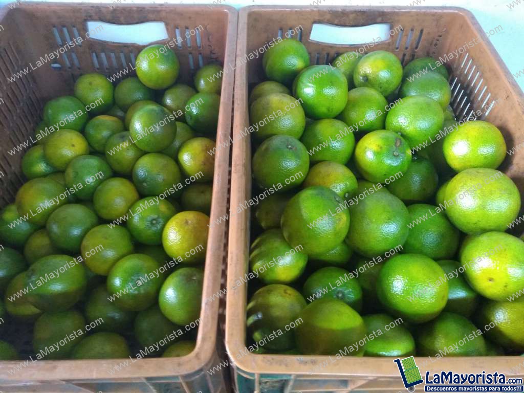 Naranja de primera