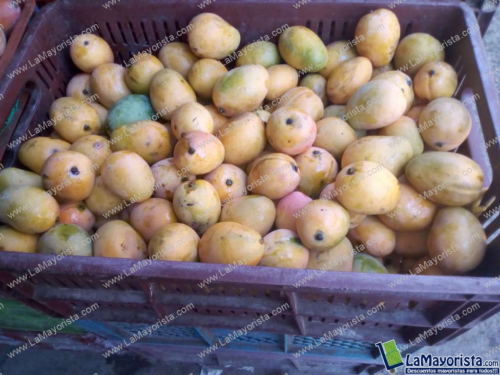 Mango ilasa