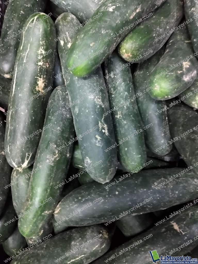 Pepino cohombro