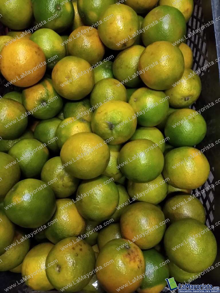 Naranja Valencia