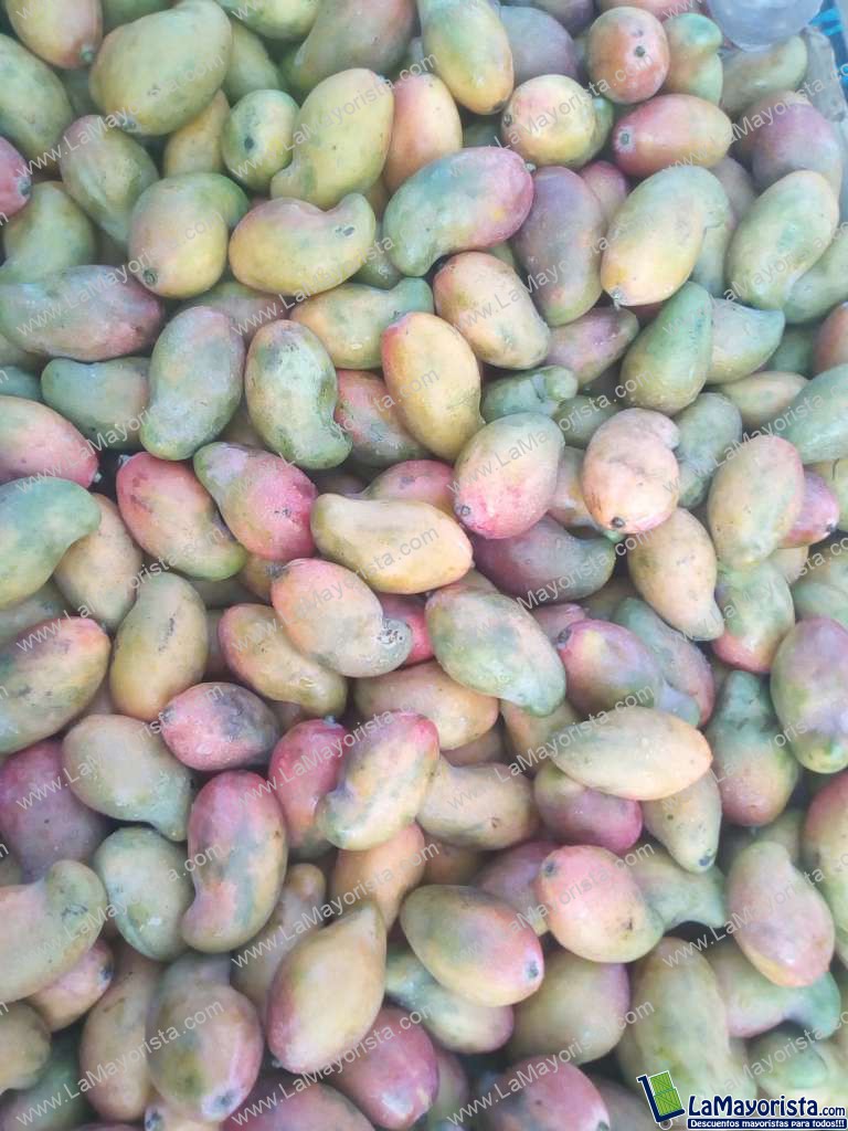 Mango de chupa