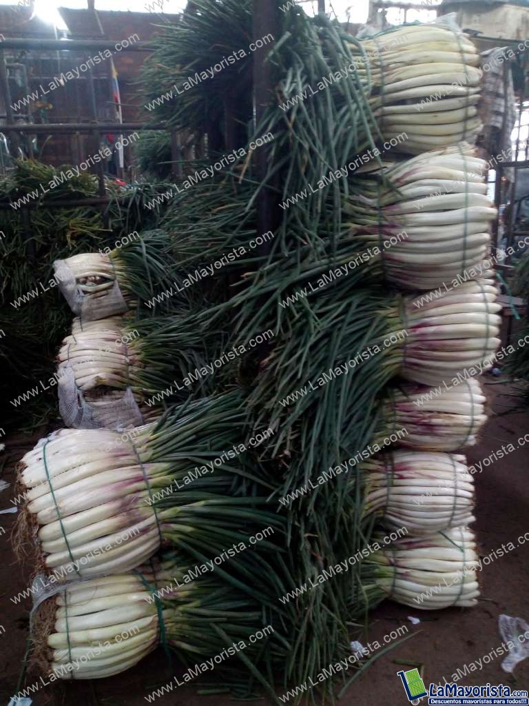 Cebolla larga sucia