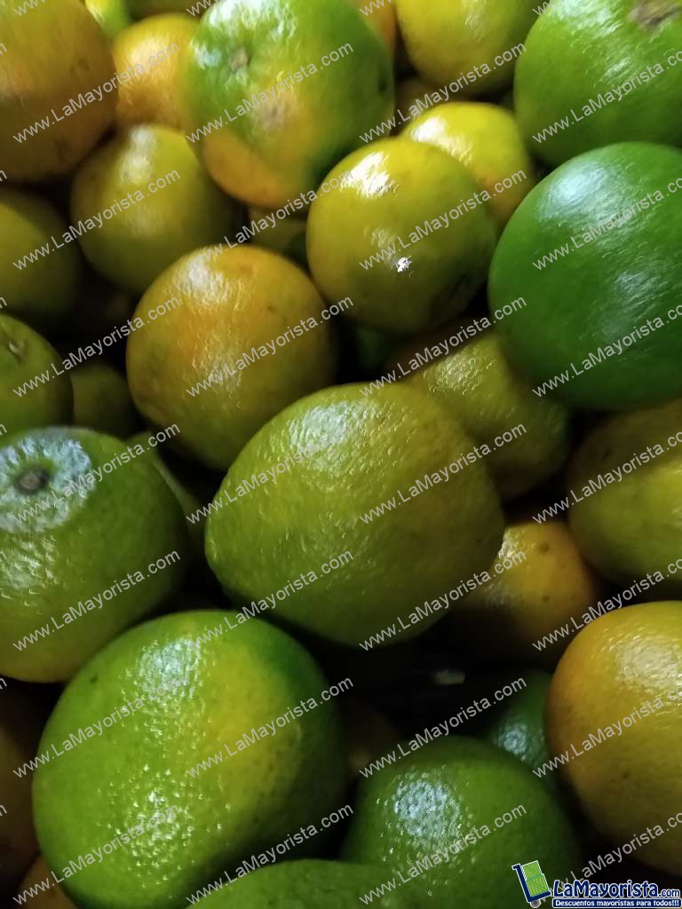 Naranja valencia