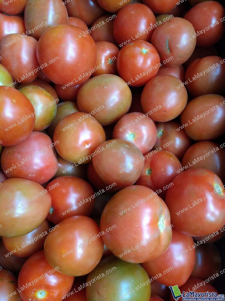 Tomate chonto