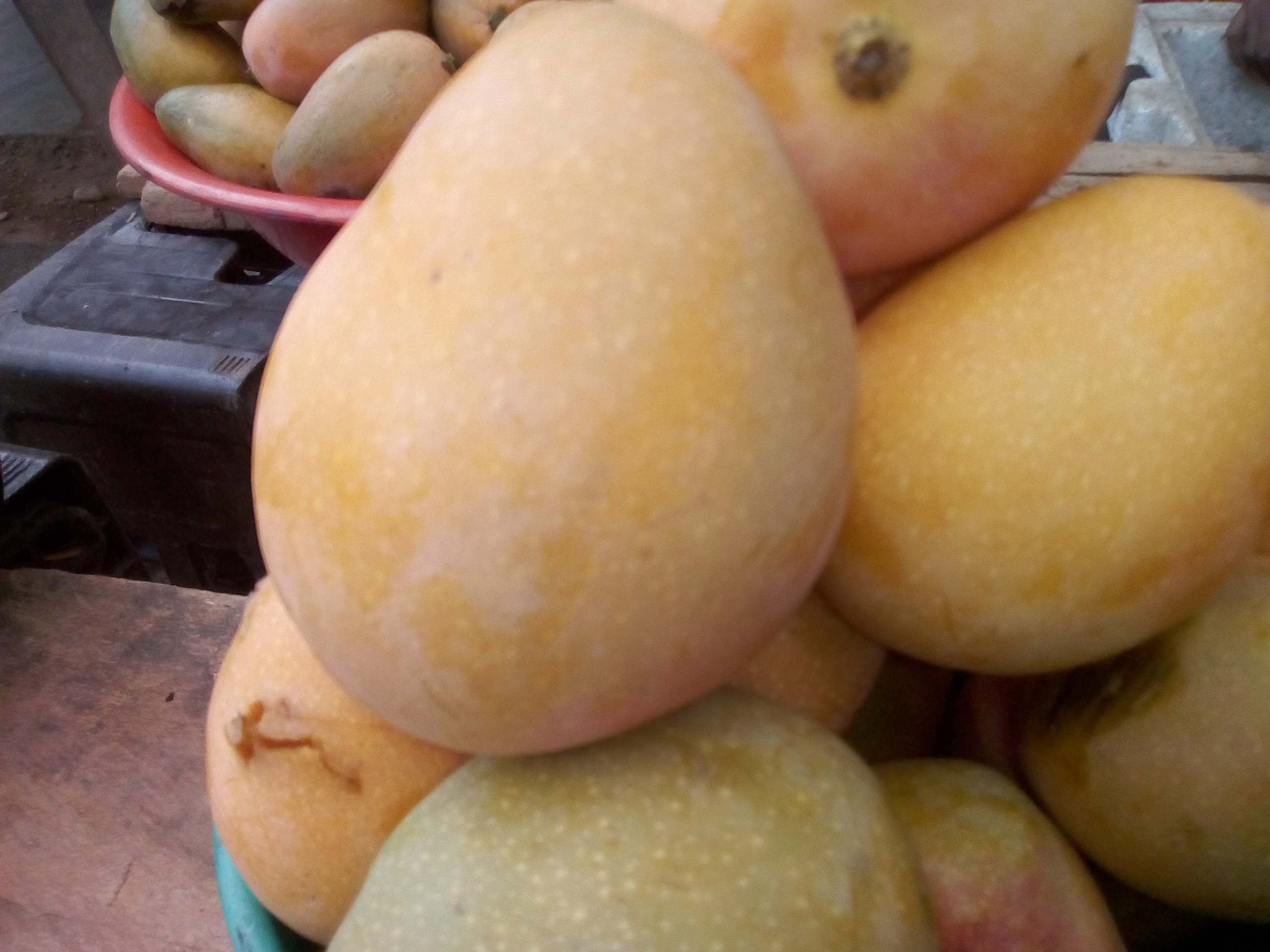 Mango papaya