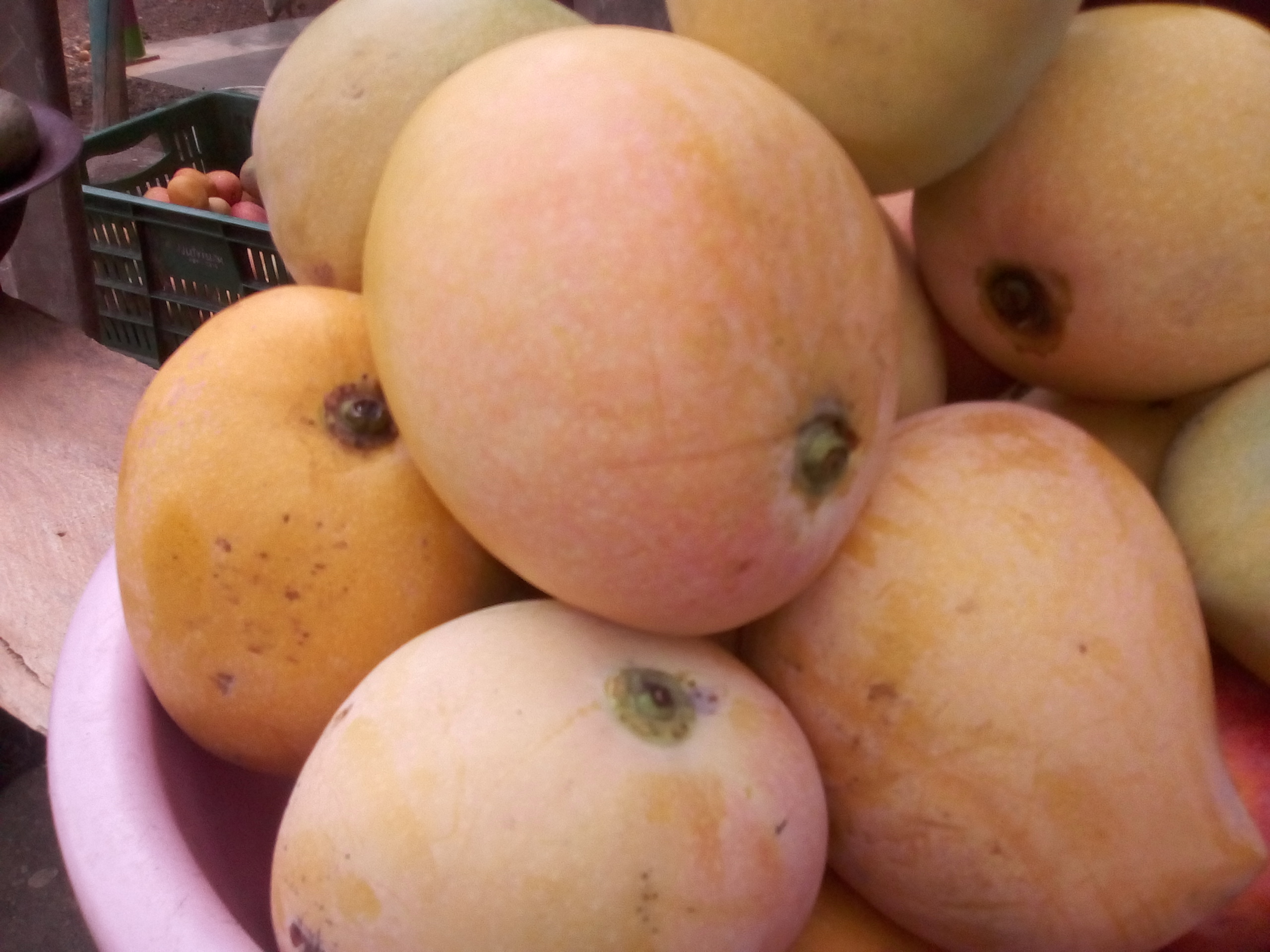Mango azúcar
