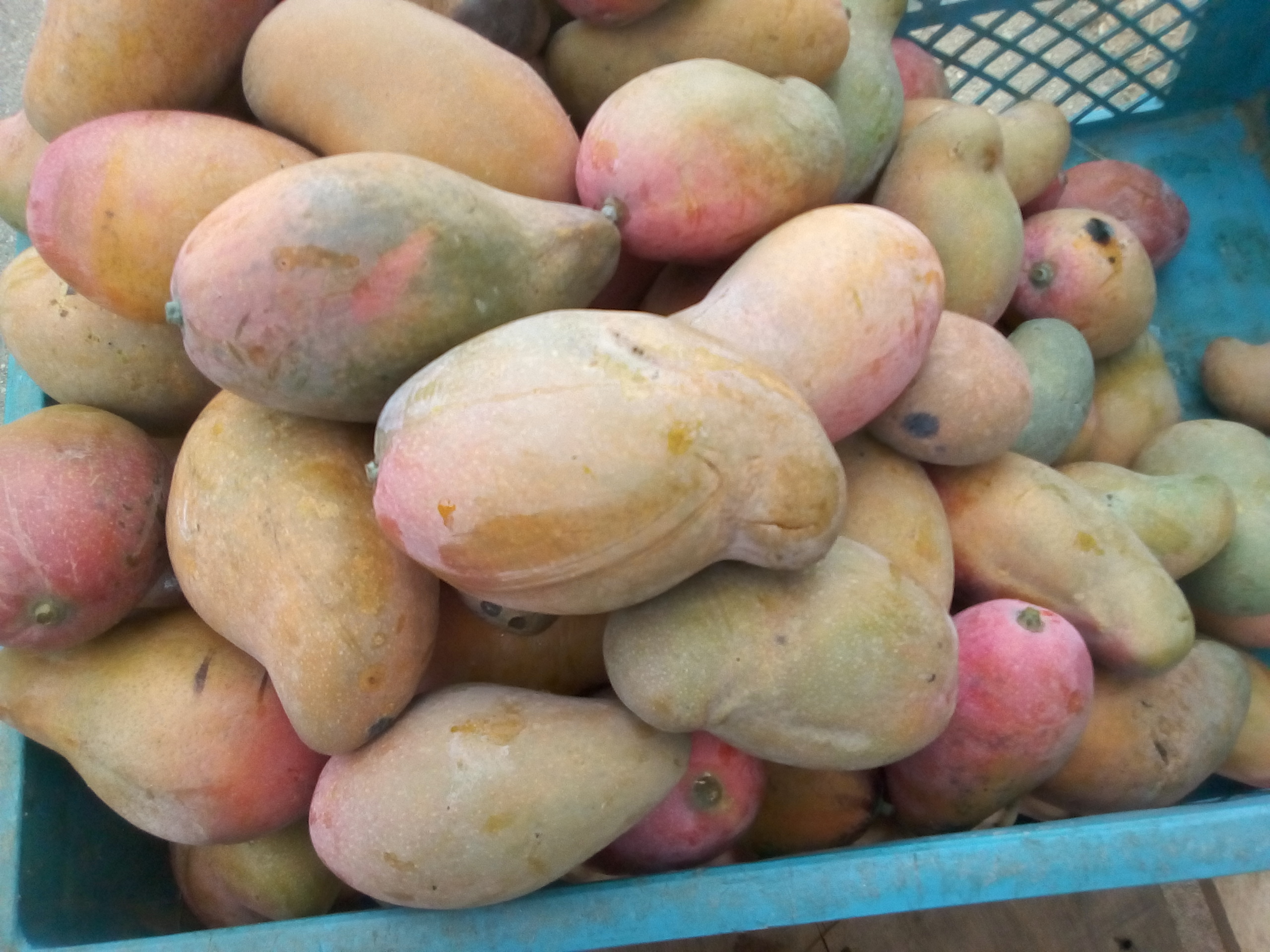 Mango de chupa