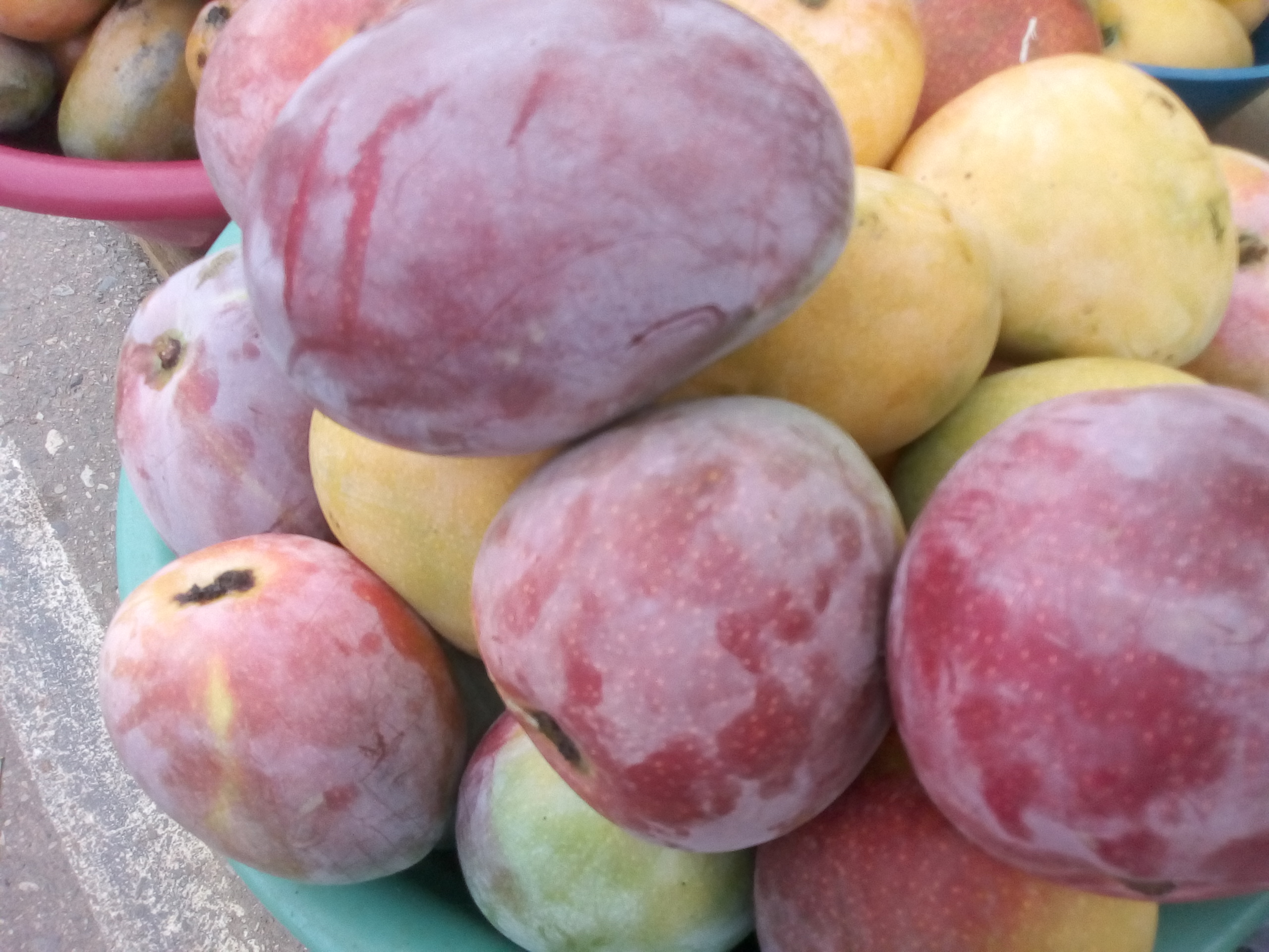 Mango manzana