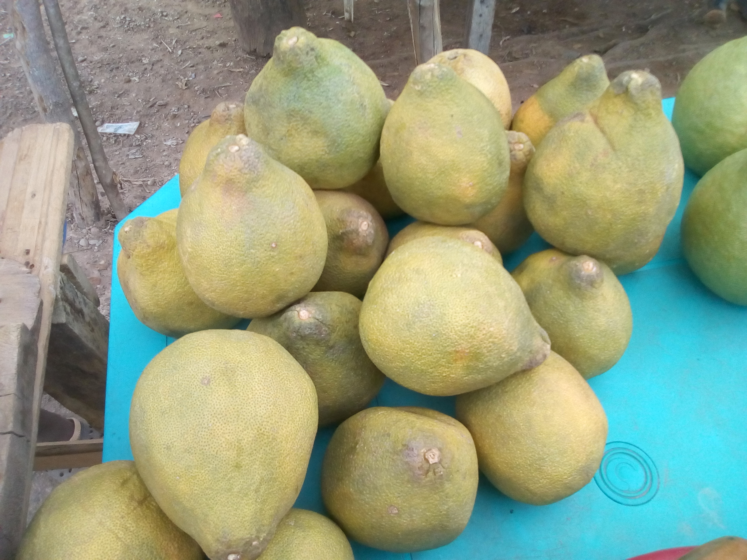 Pomelo