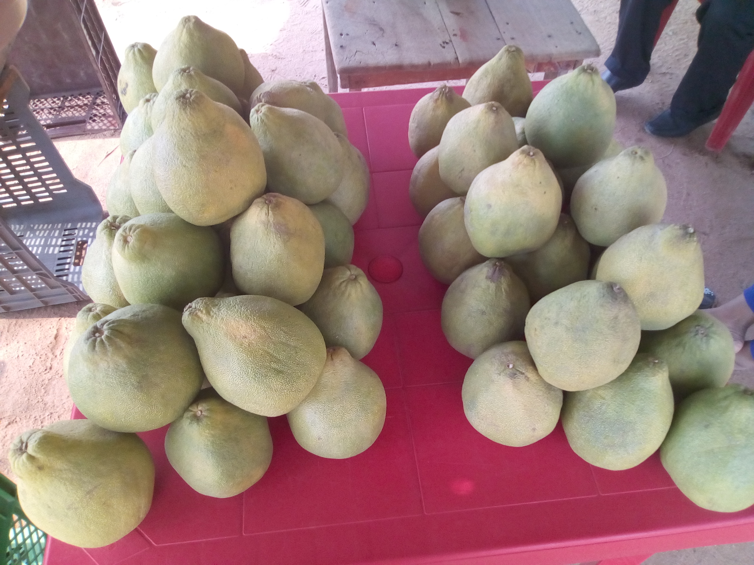 Pomelo