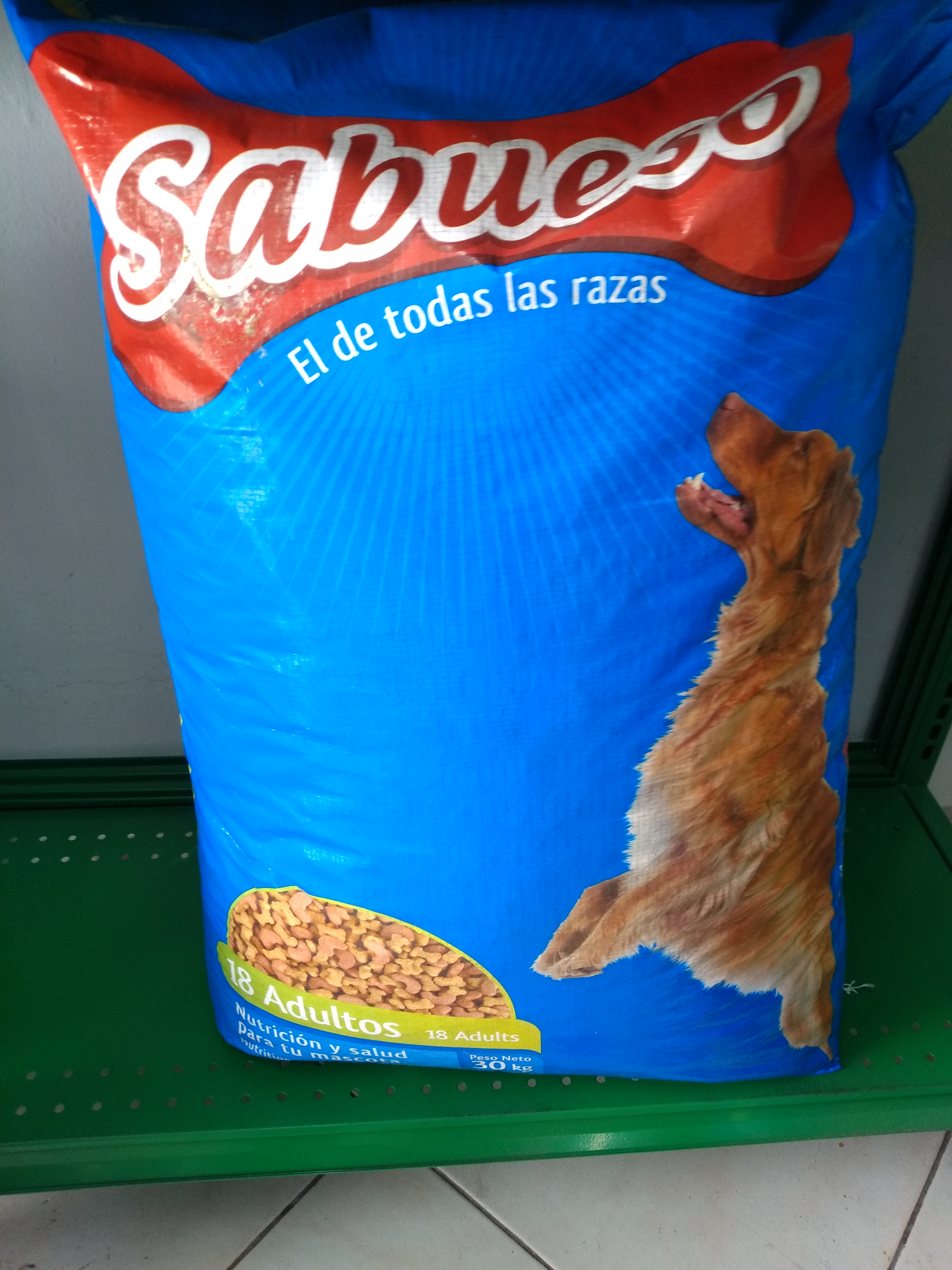 Sabueso adultos x 30k