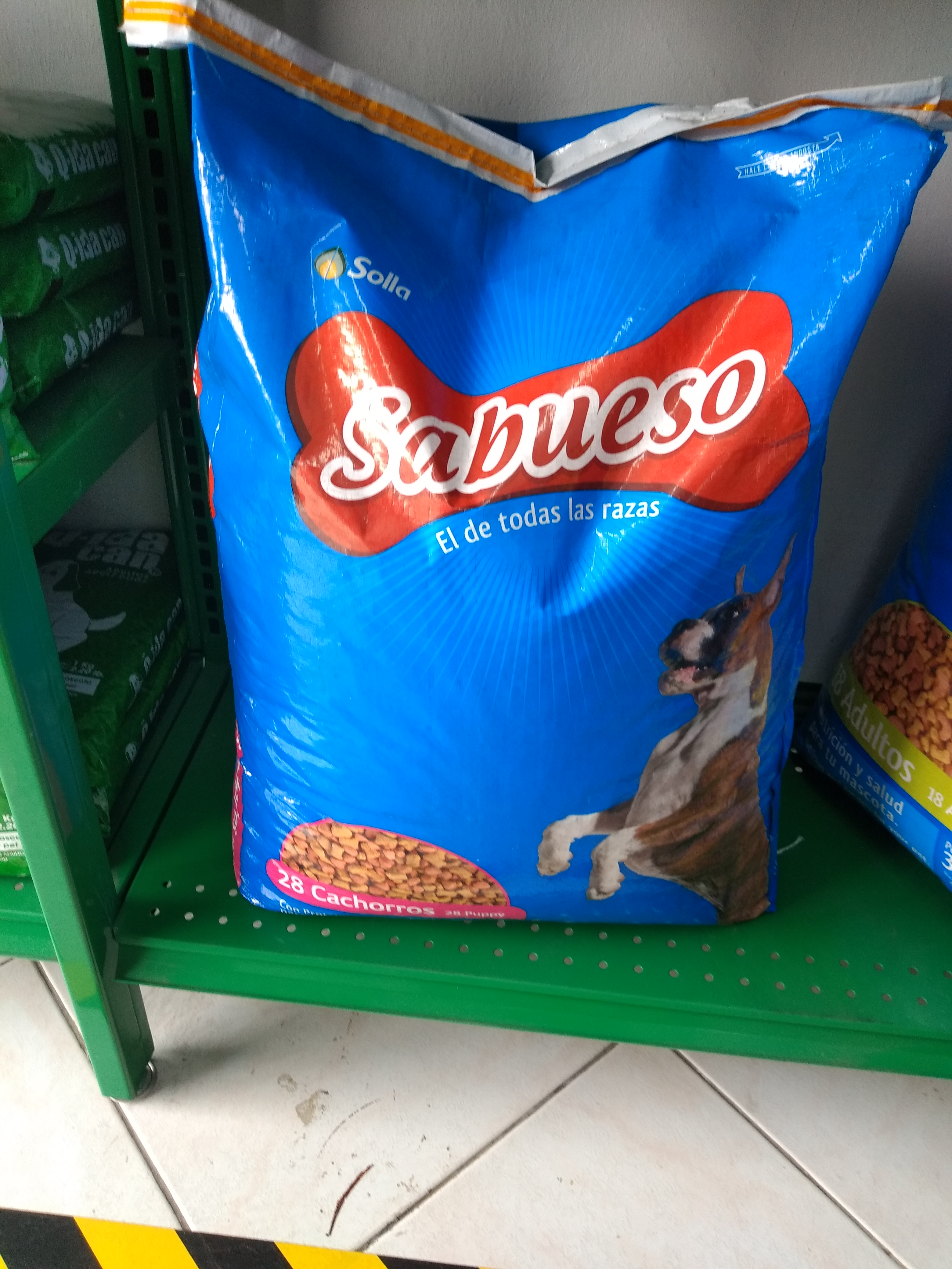 Sabueso cachorro x 15 k