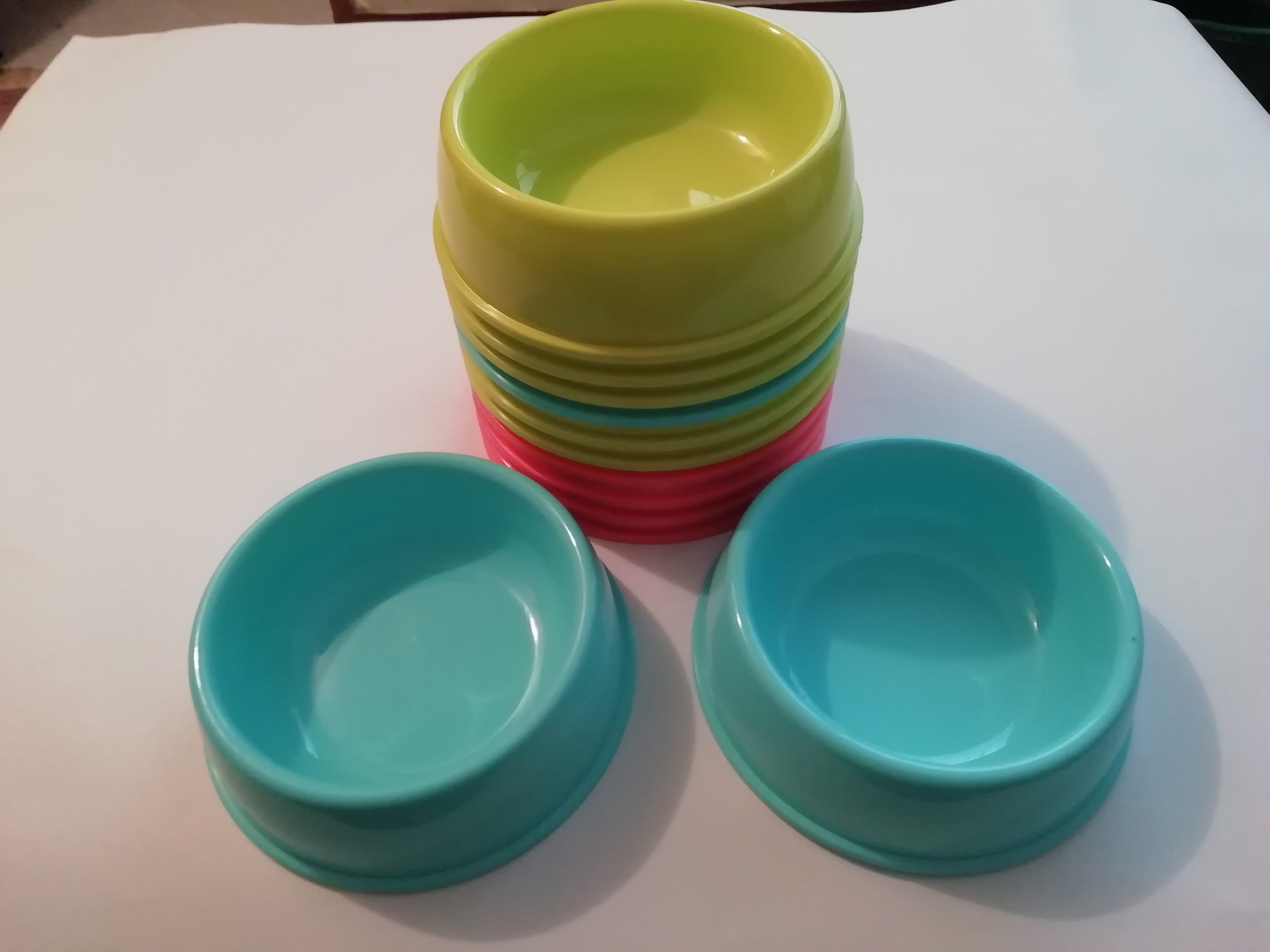 Plato para mascota