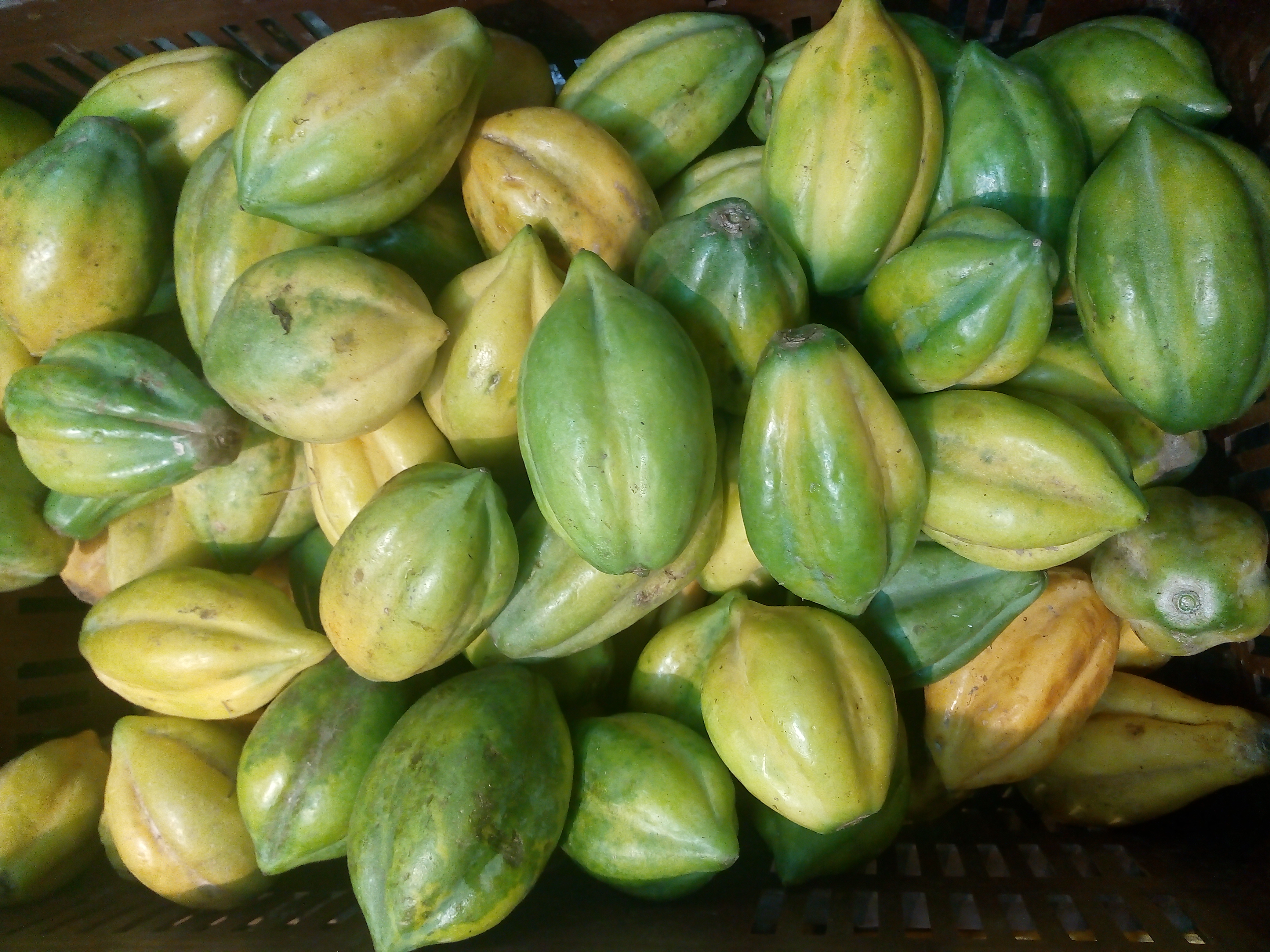 Papayuela