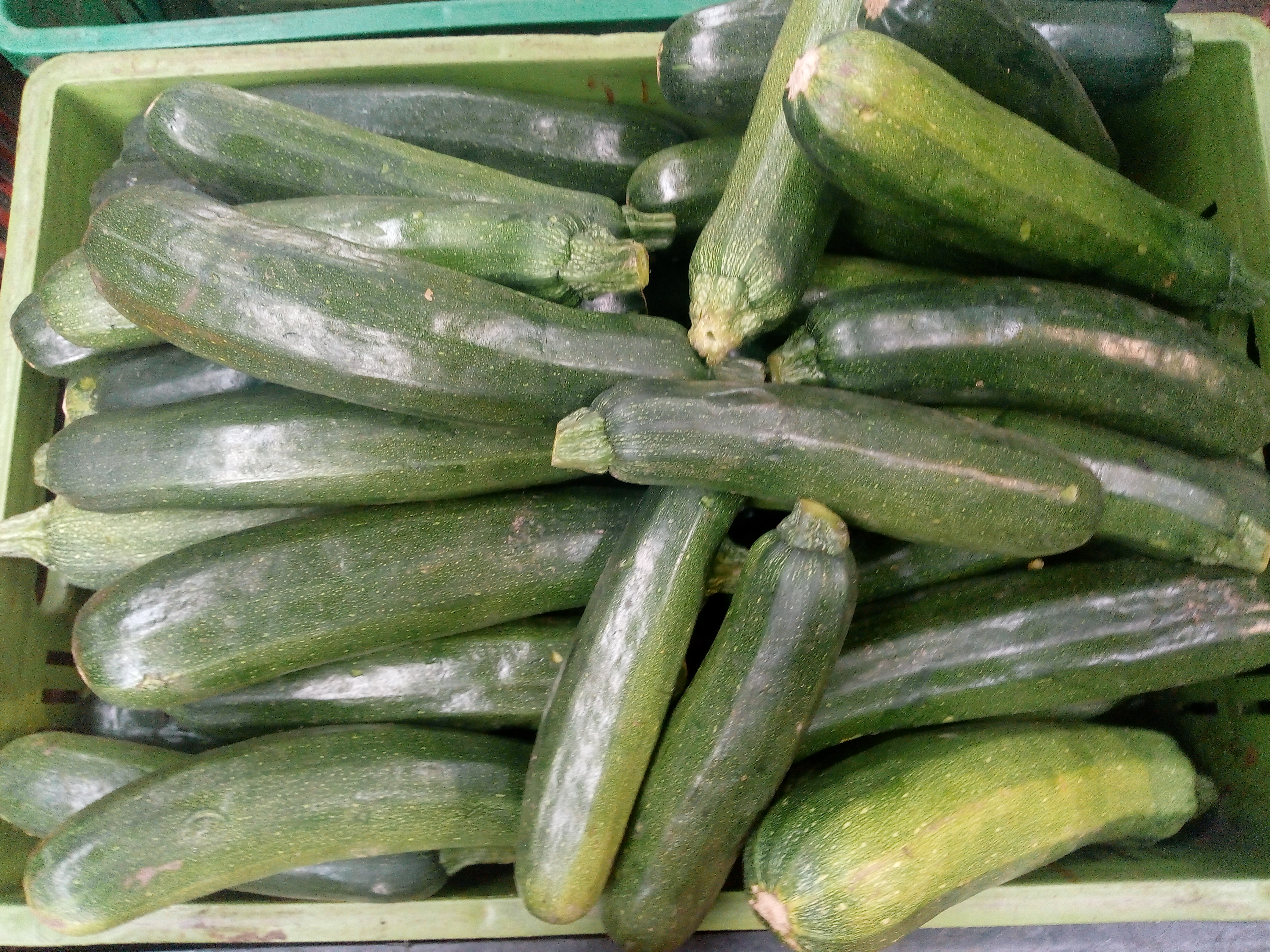 Sukini verde