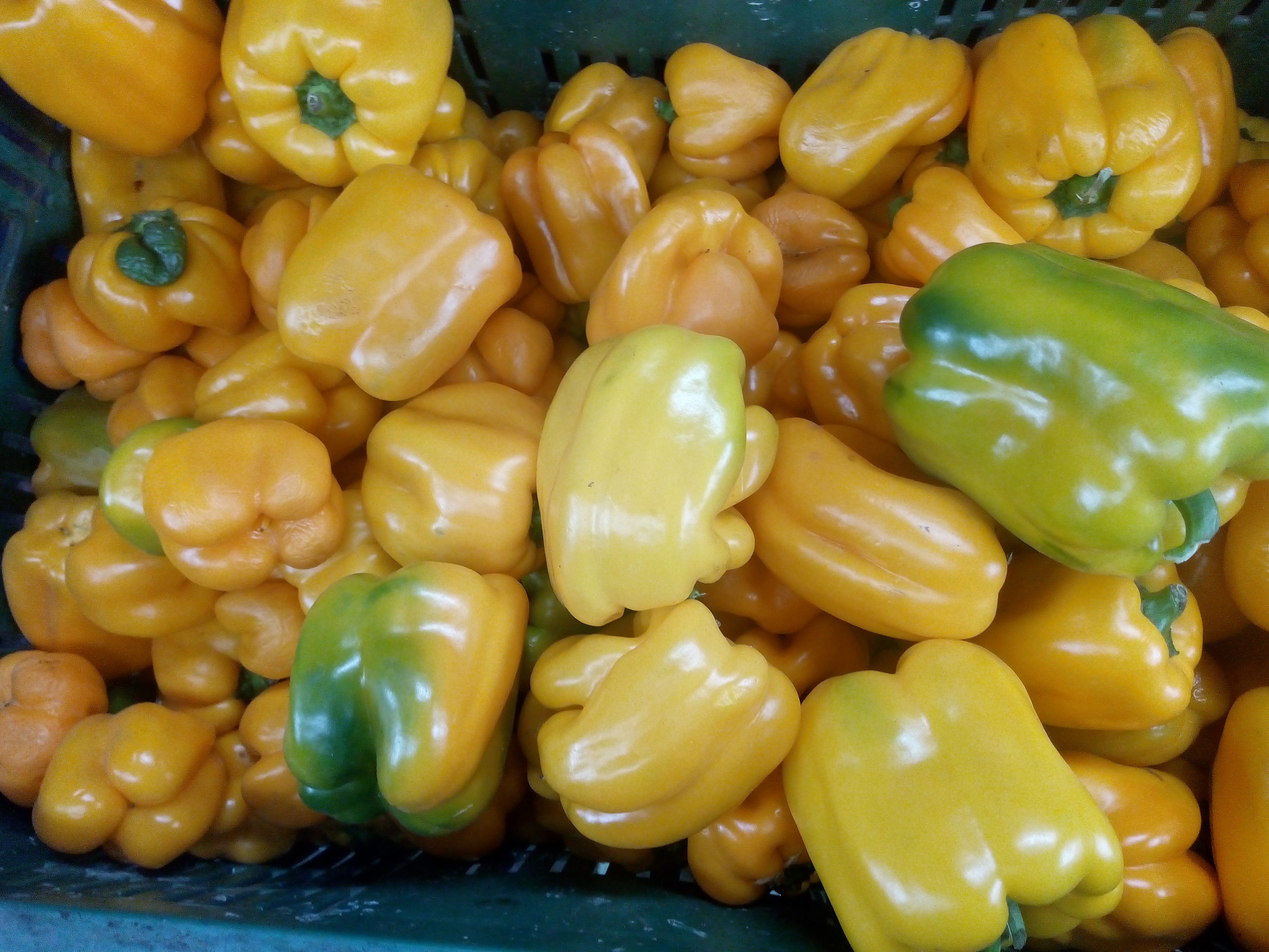 Pimentón amarillo