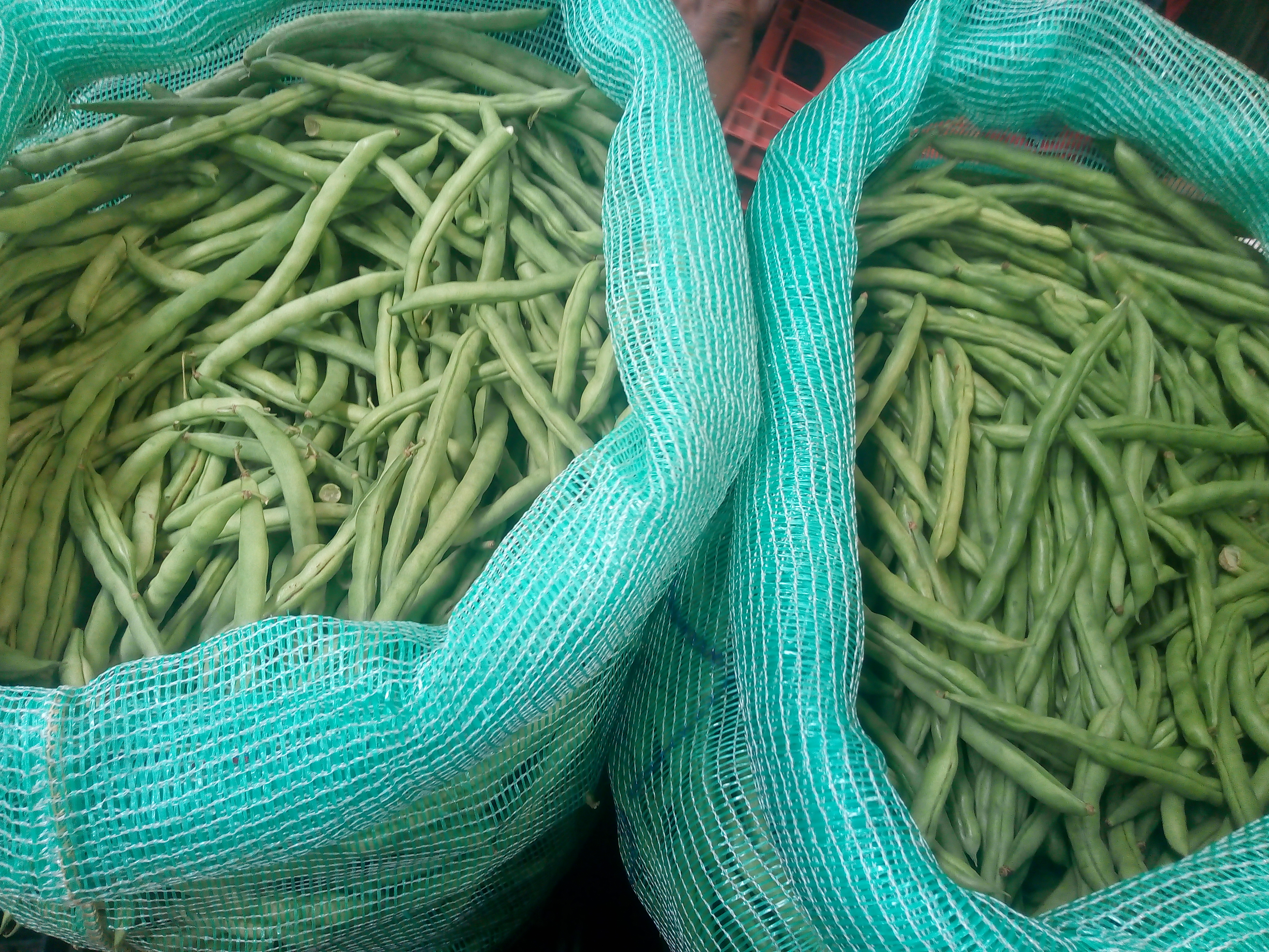 Habichuelas