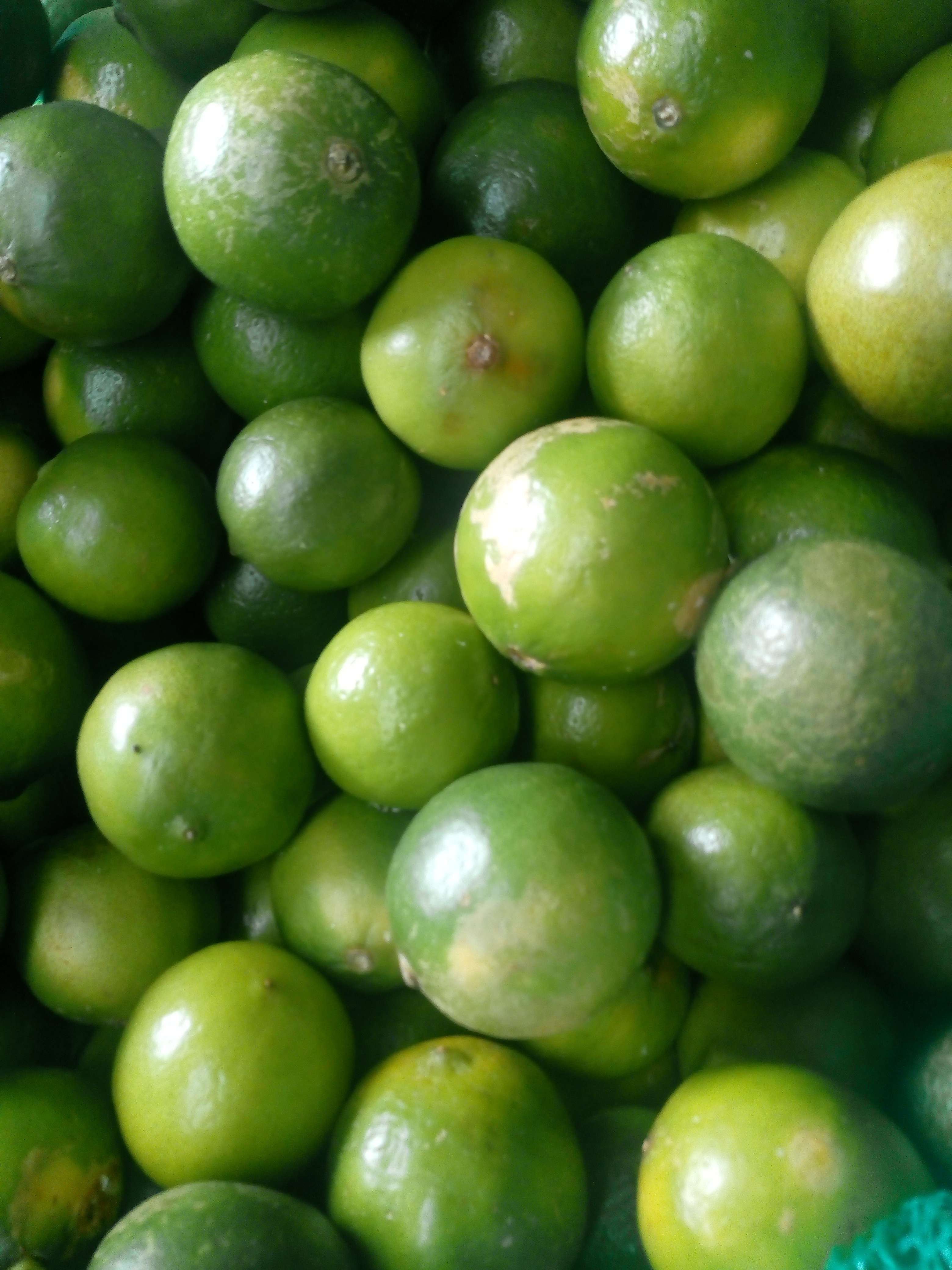 Limón