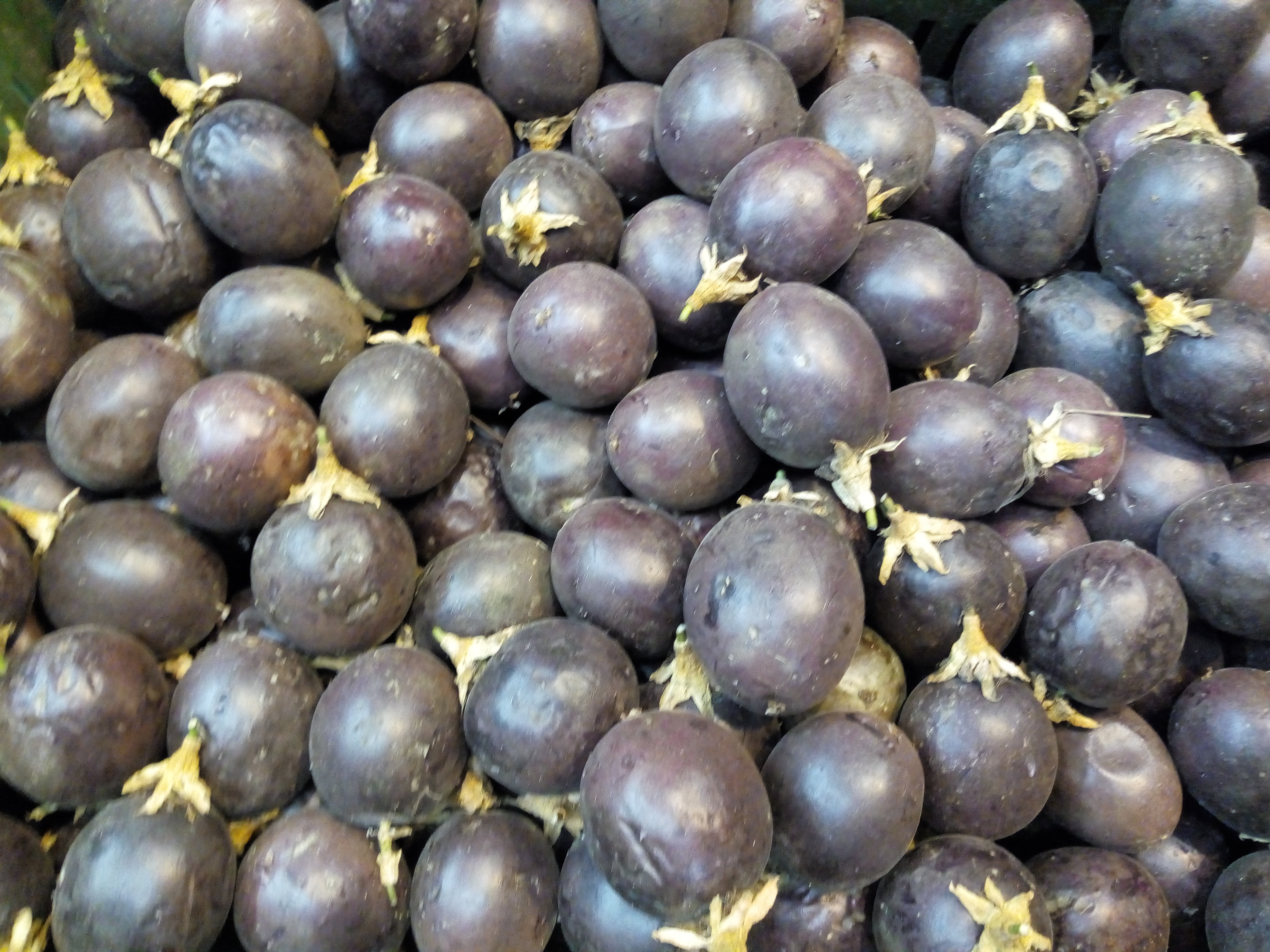 Gulupa