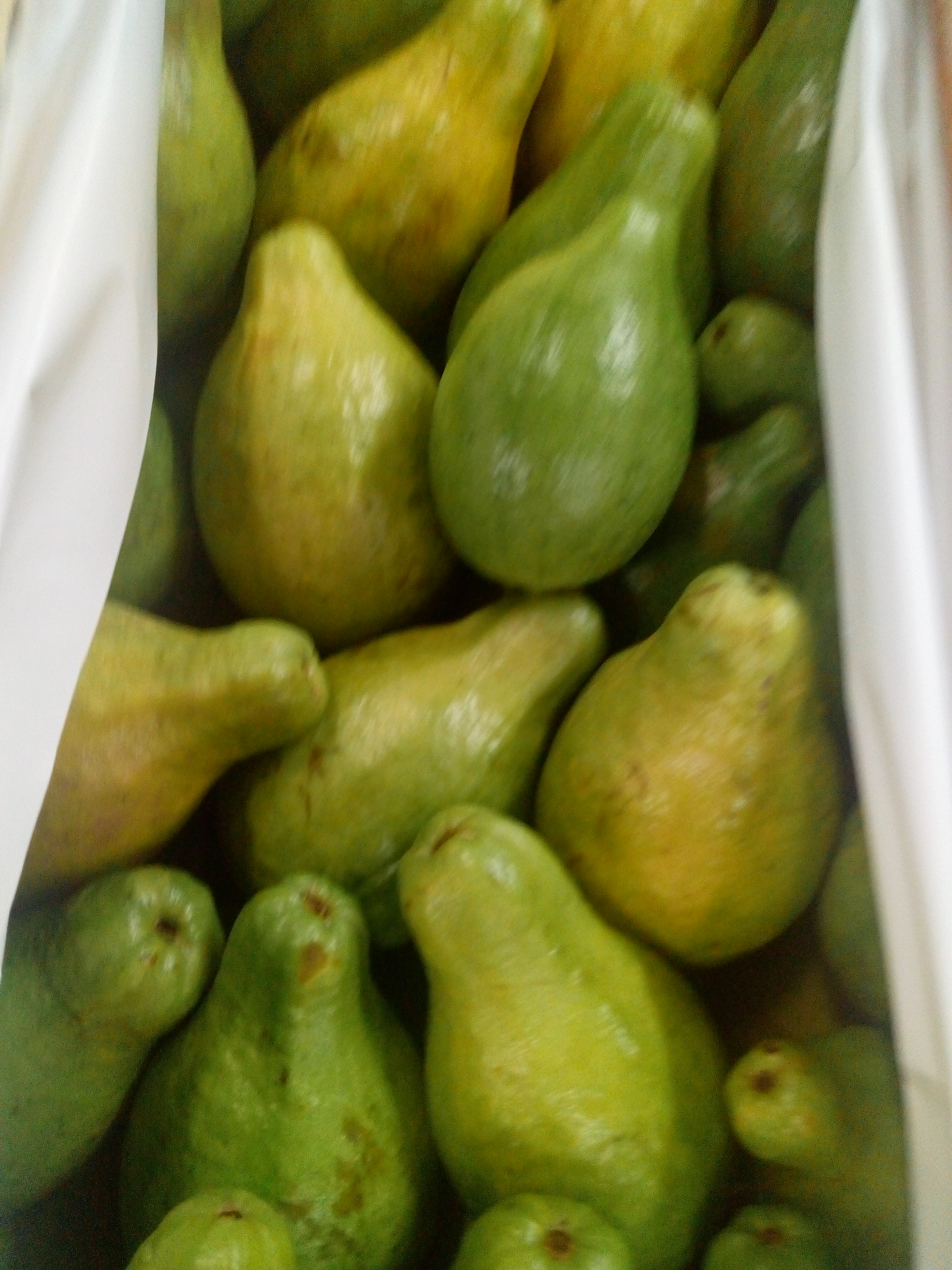 Guayaba pera
