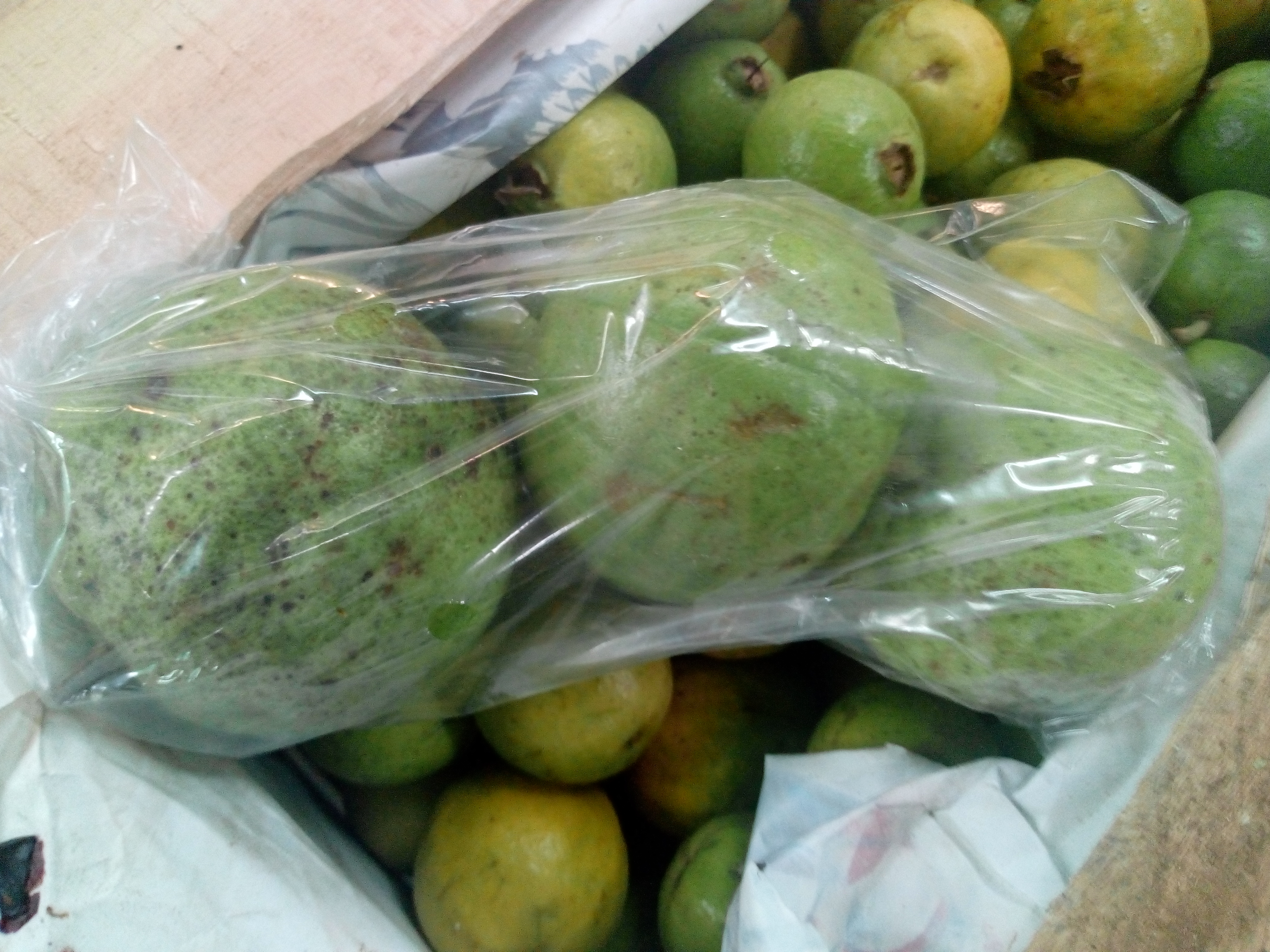Guayaba manzana