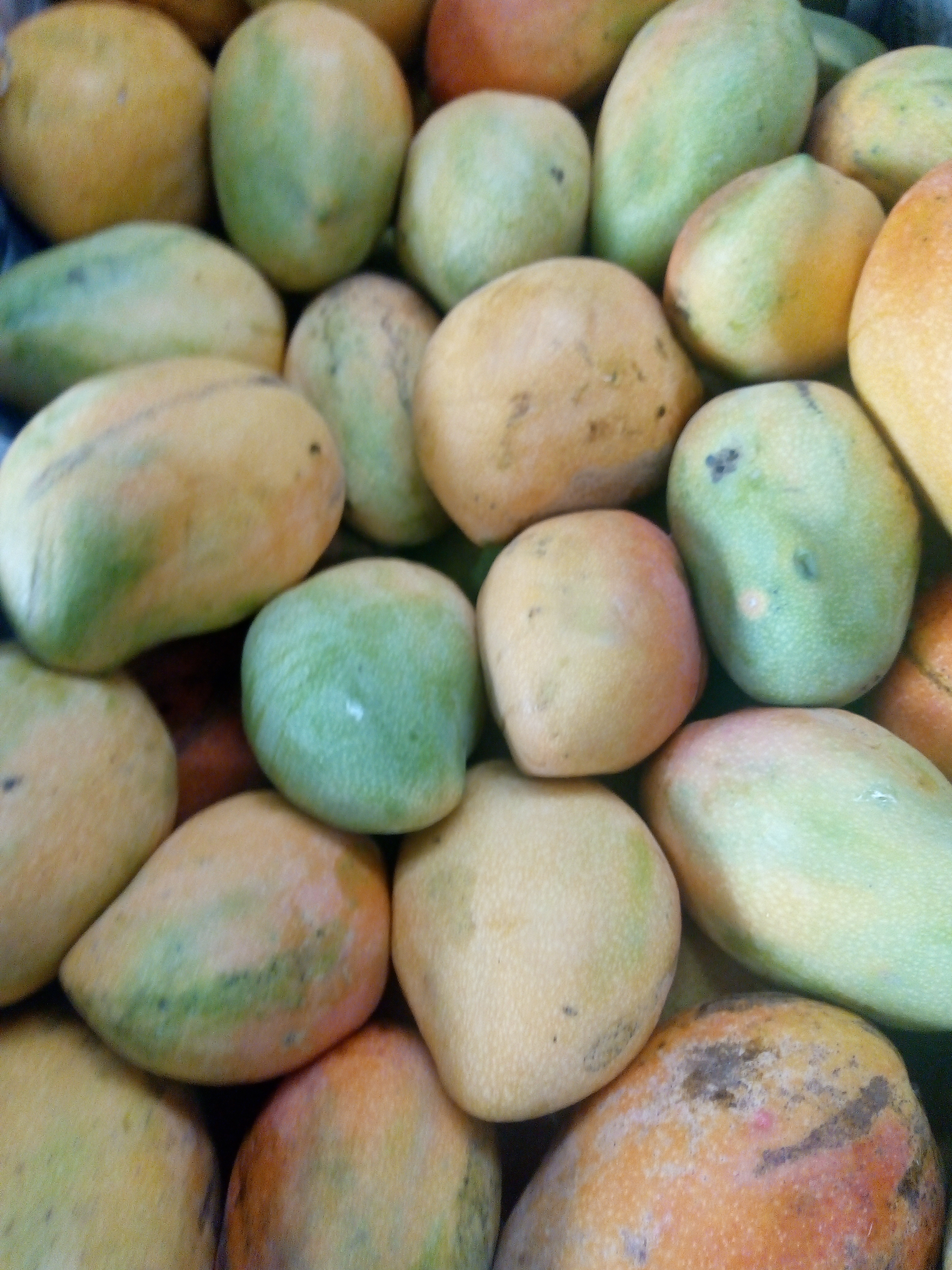 Mango manzano