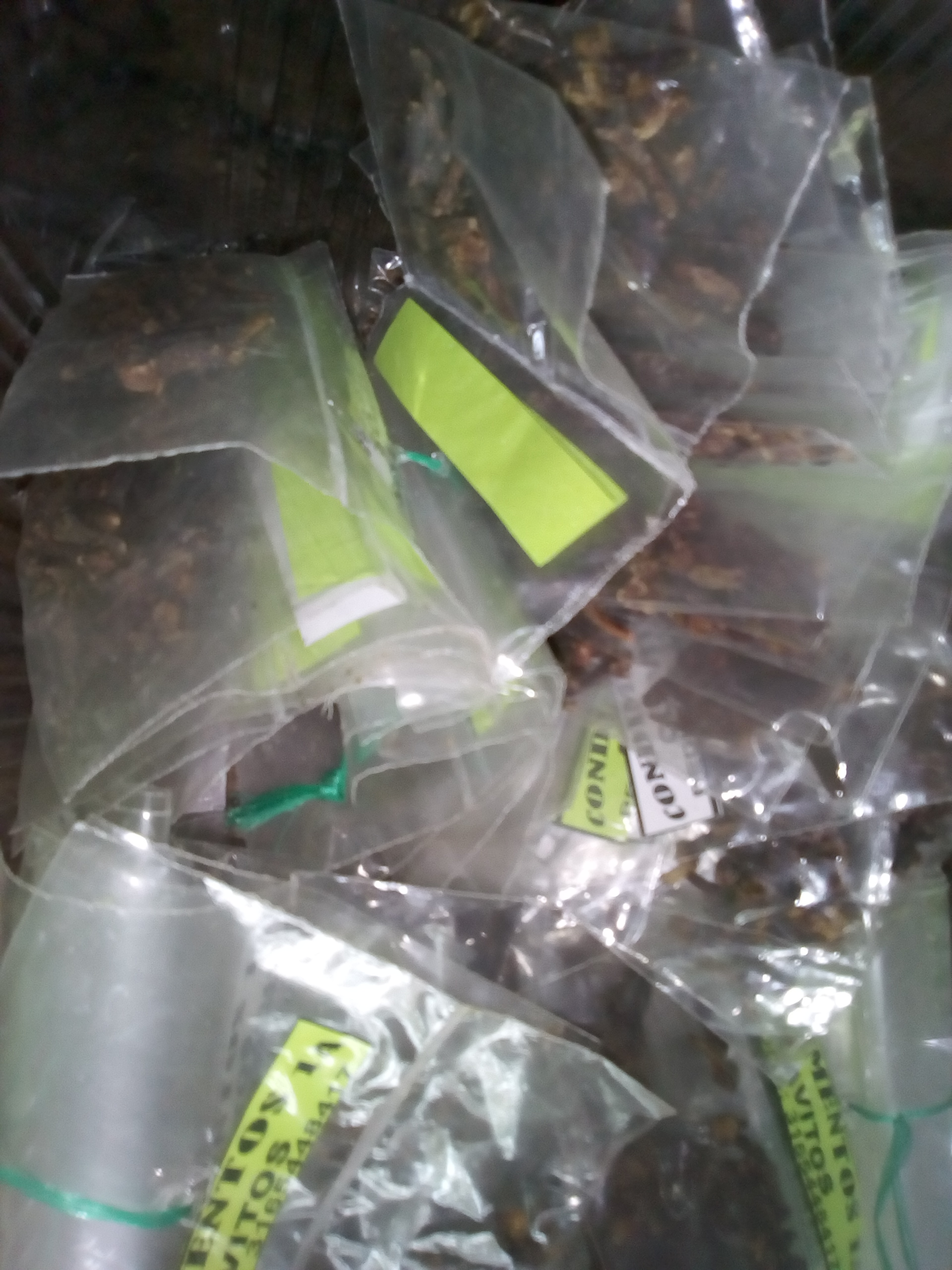 Clavo de olor en bolsa x 14 unidades