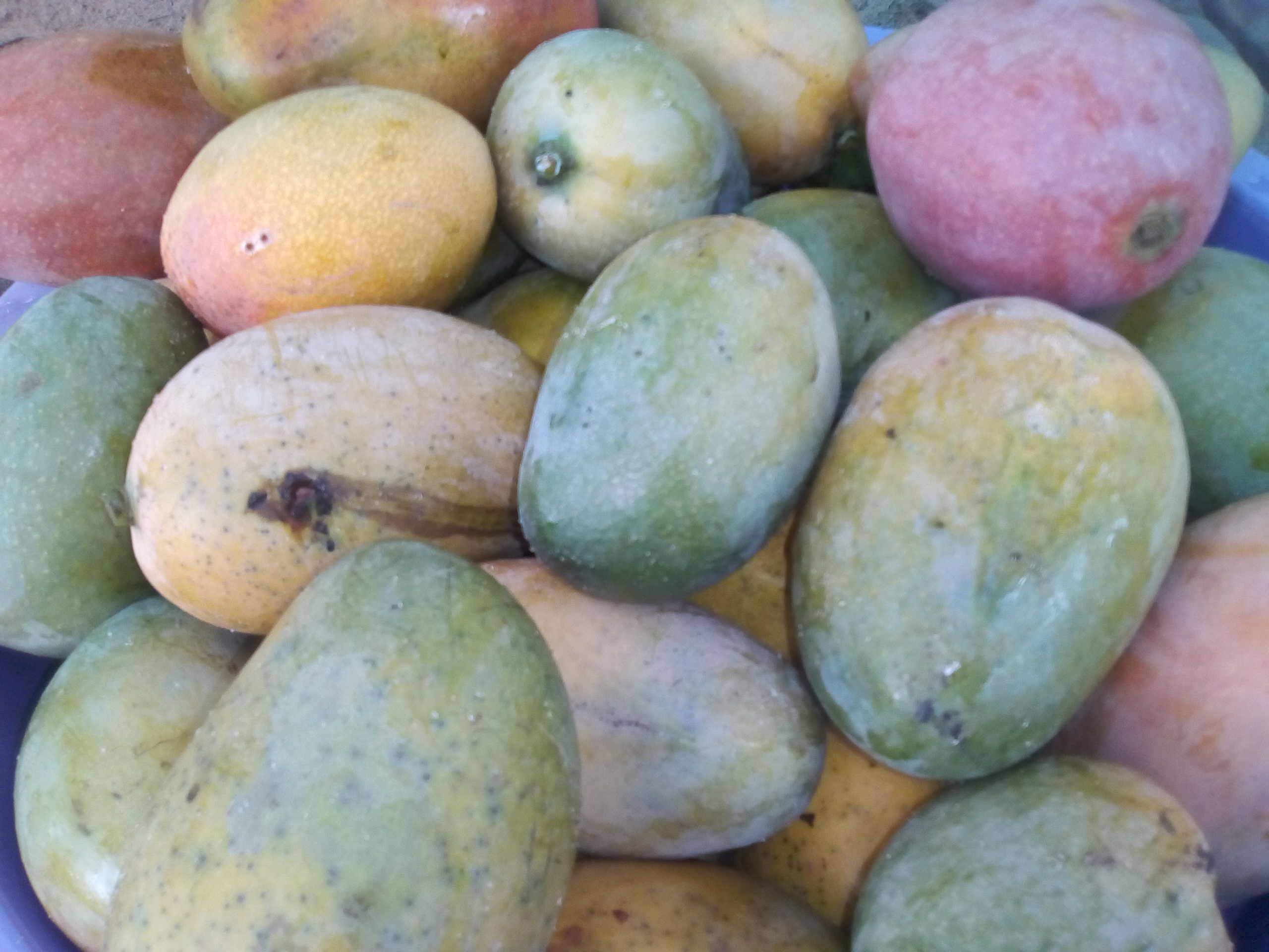 Mango bocado
