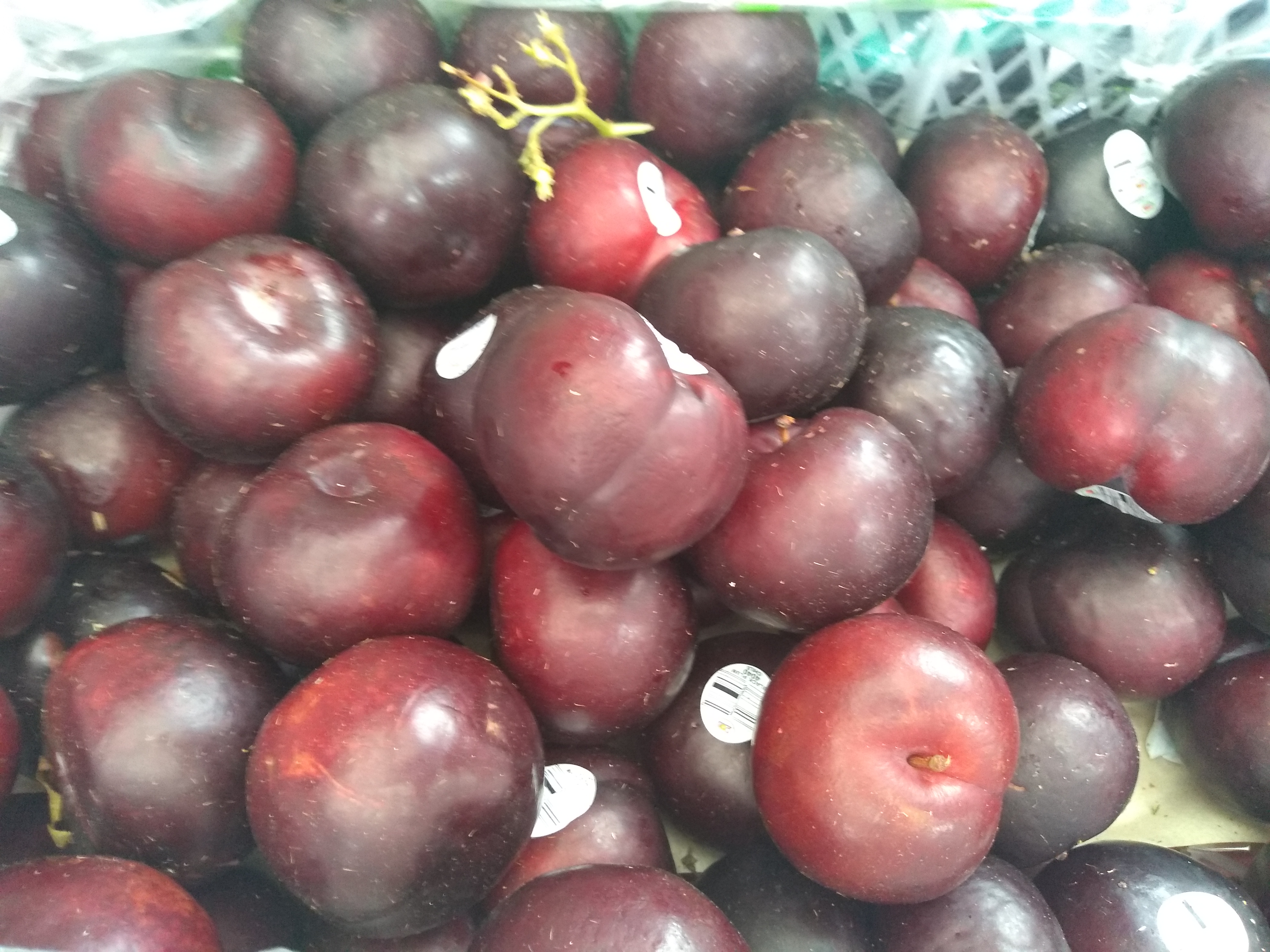 Ciruela