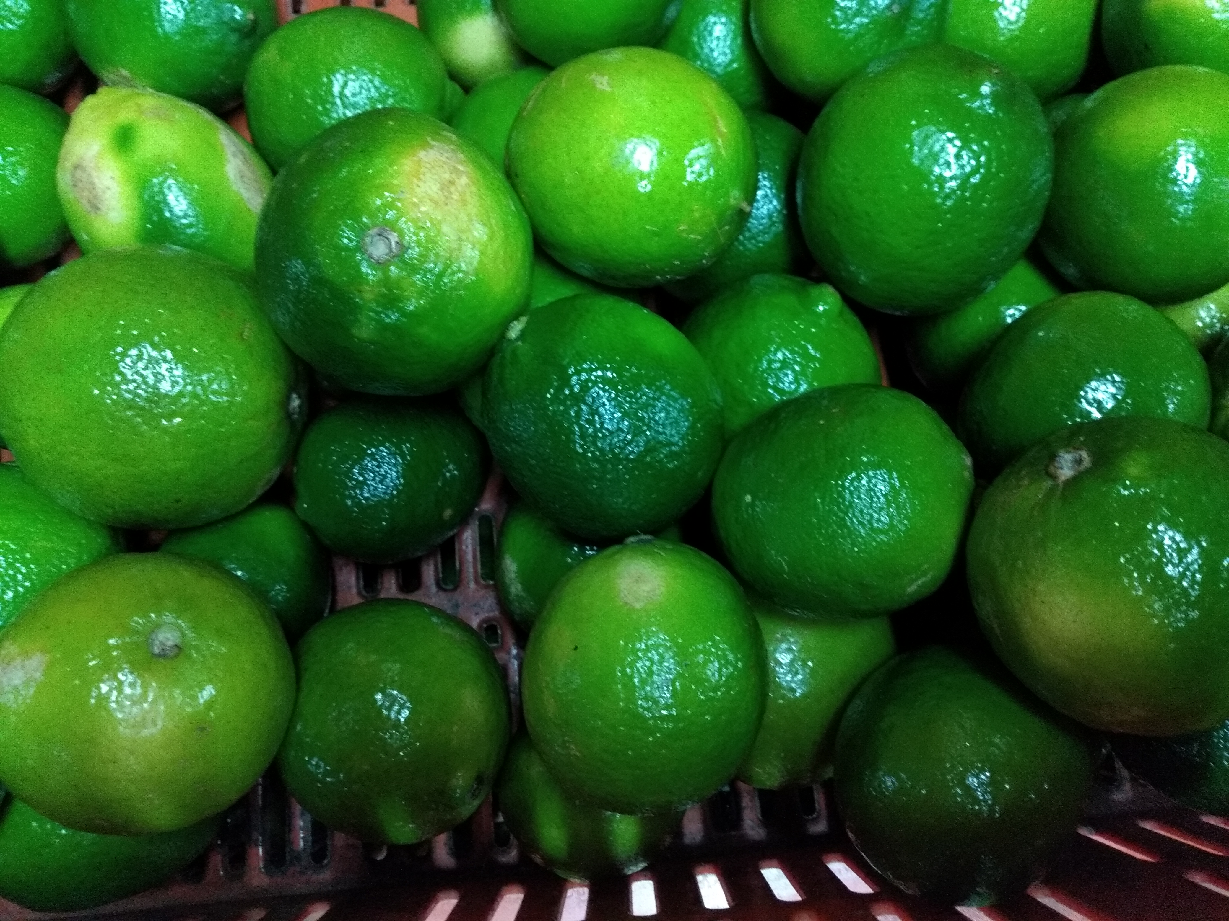 Limón Tahití