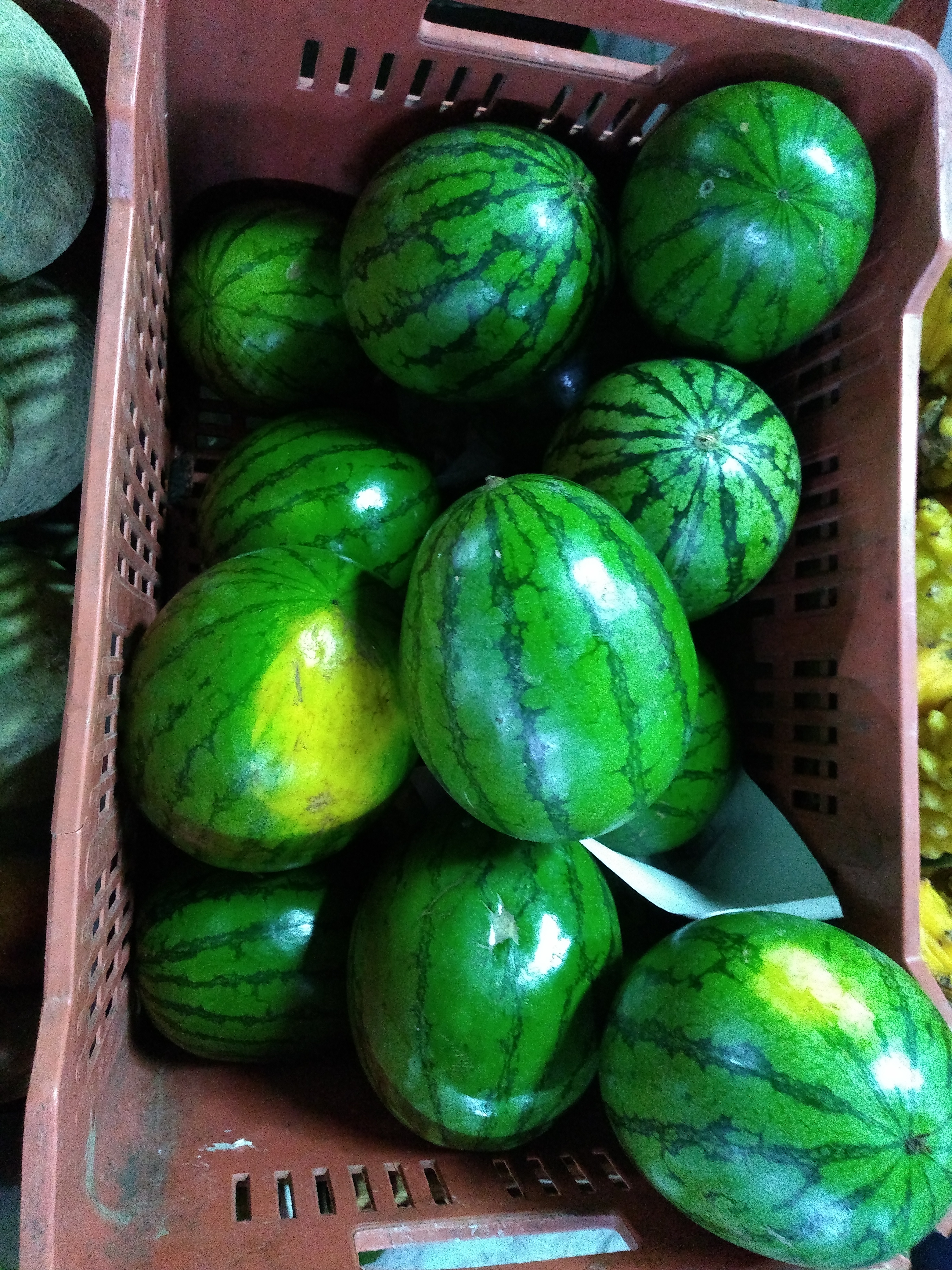 Sandia