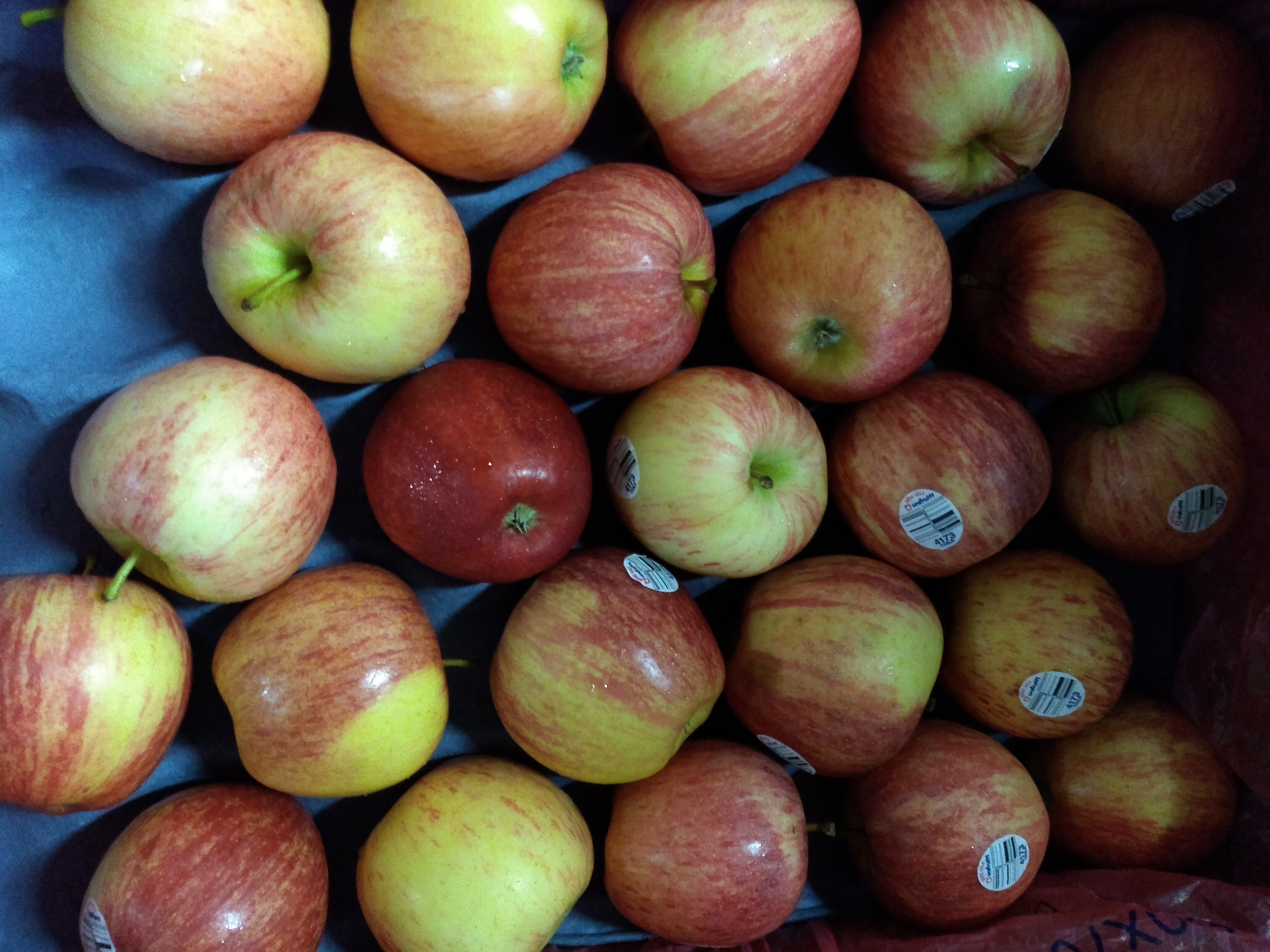 Manzana roja