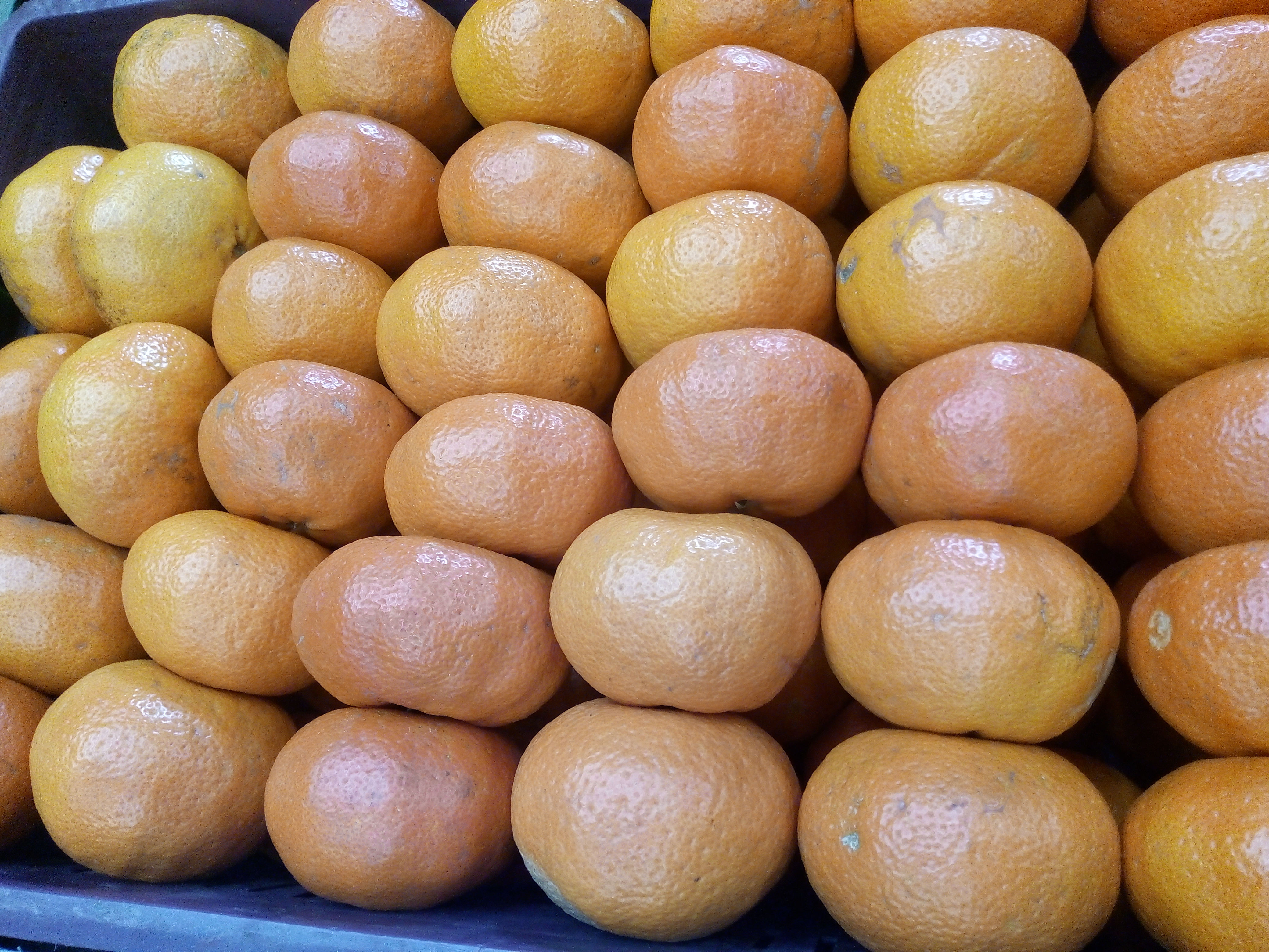 Mandarina isrraelita