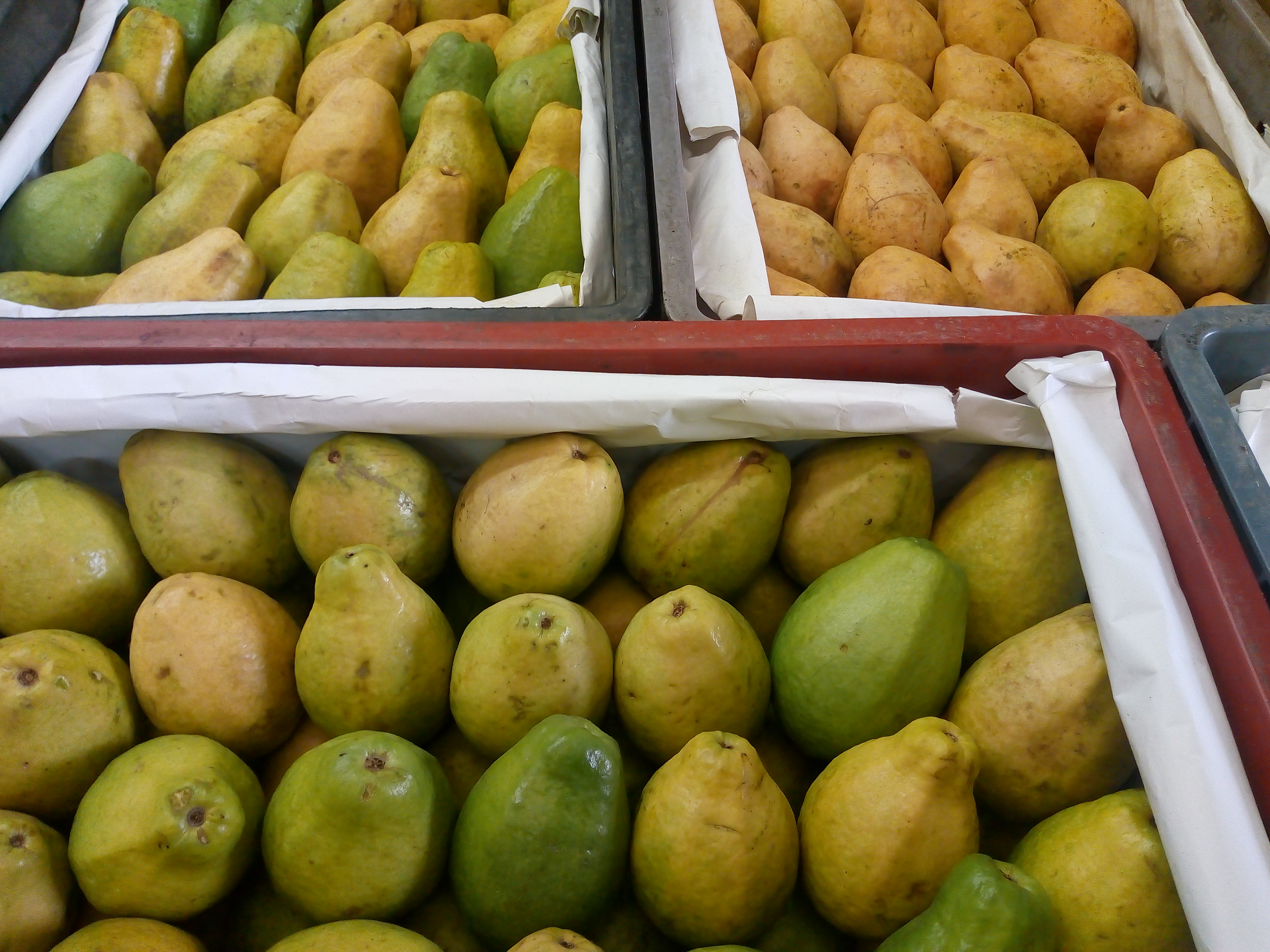 Guayaba pera