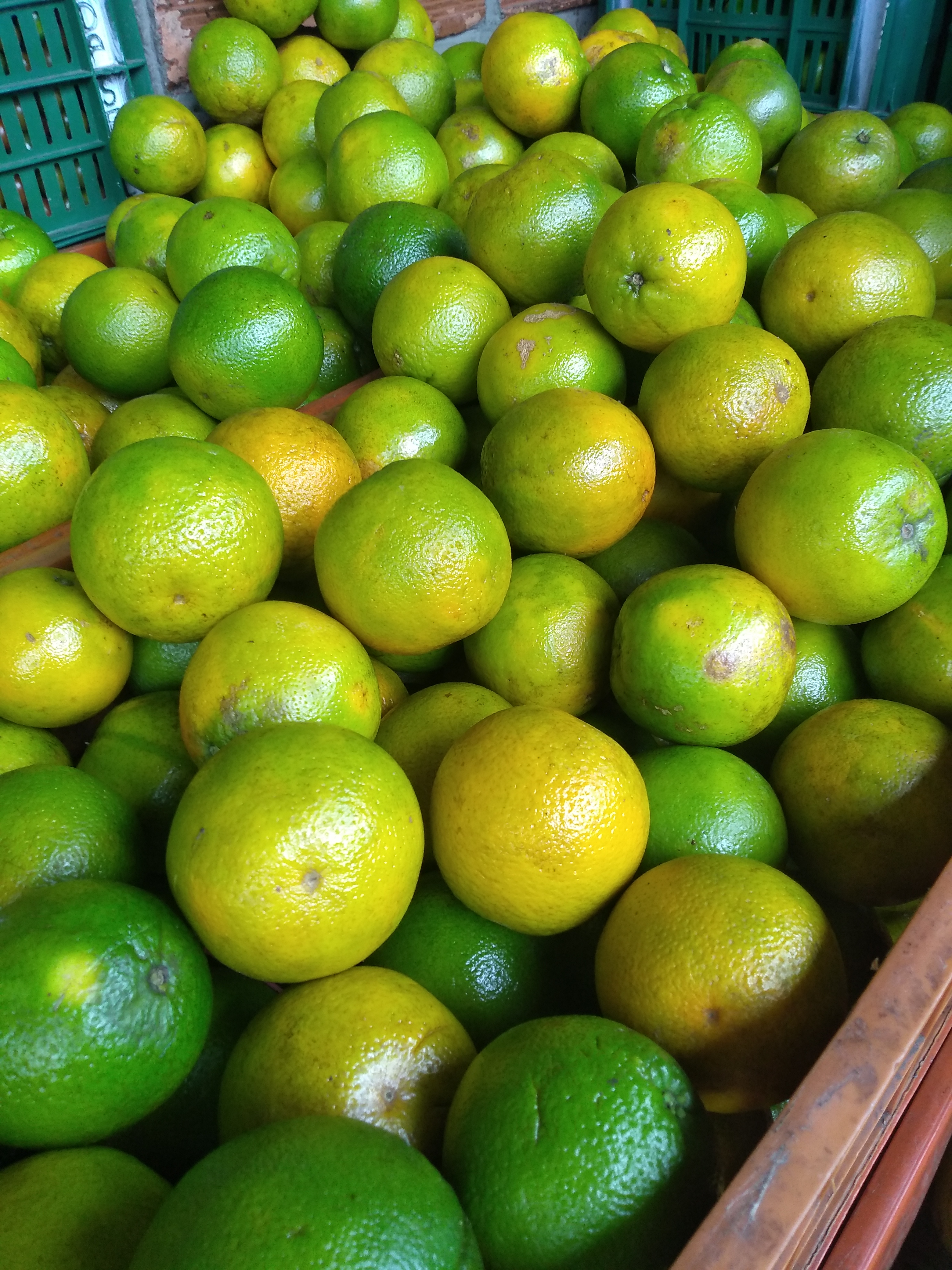 Naranja de 1ra