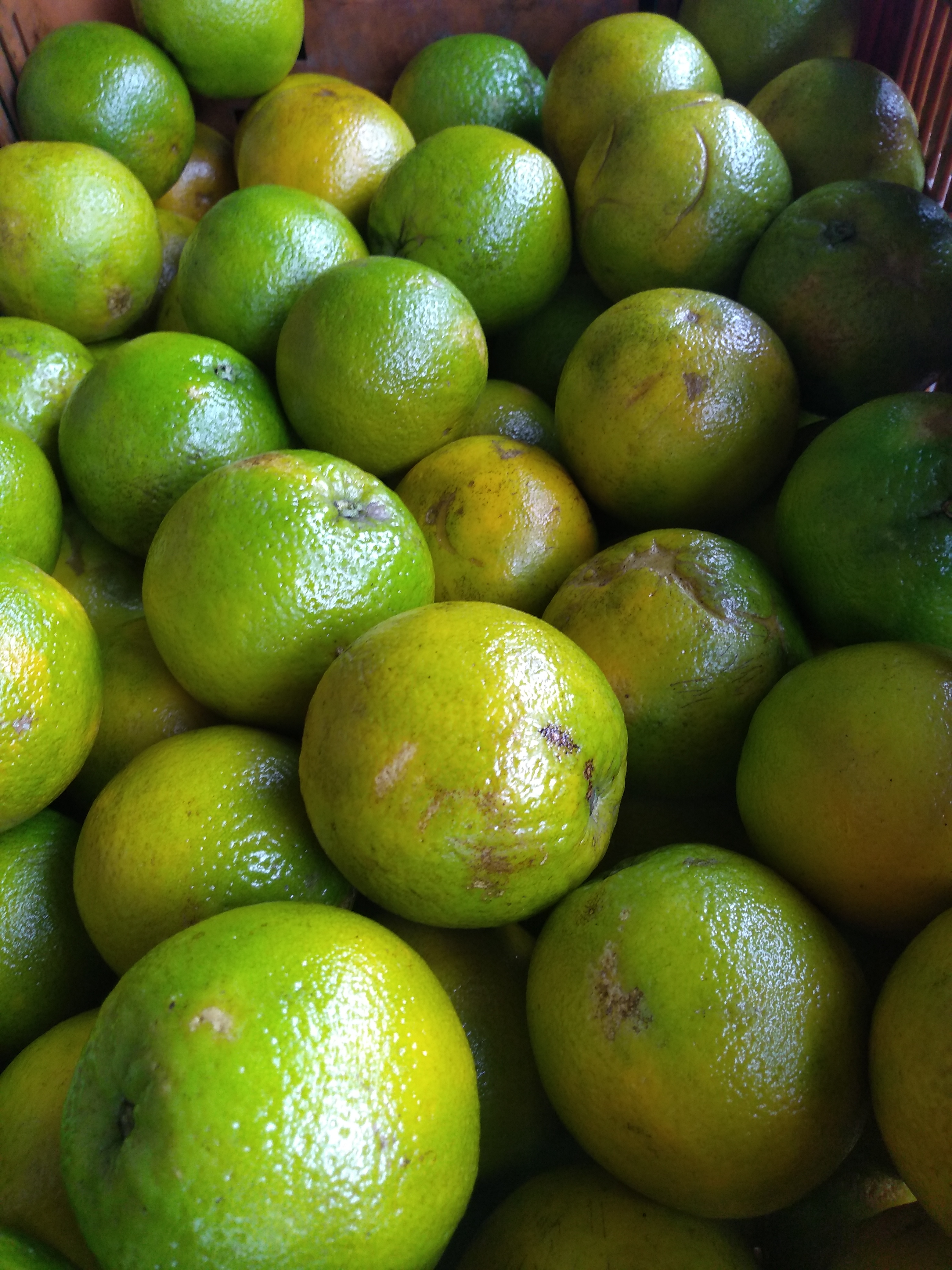 Naranja de 1ra