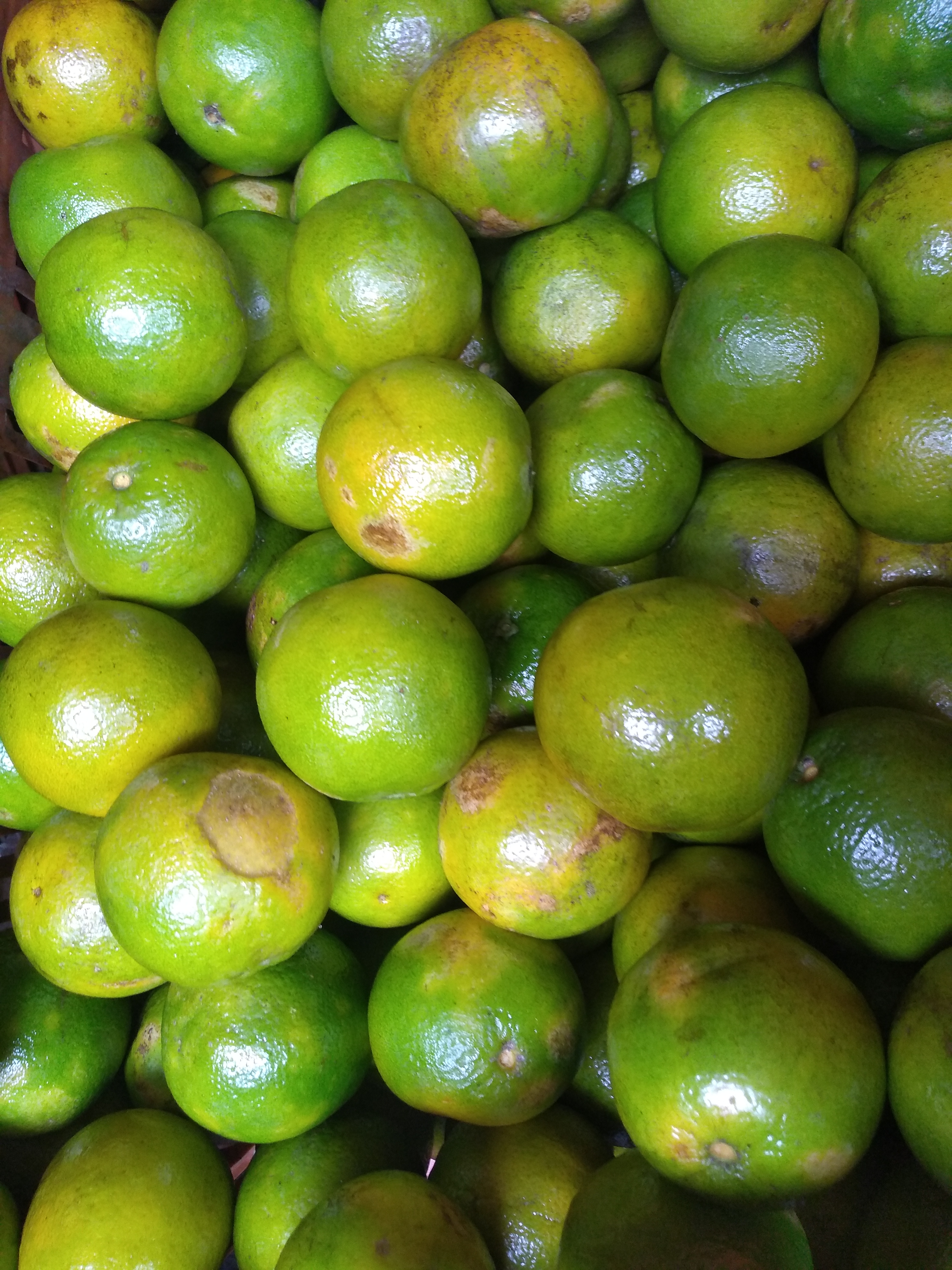 Naranja de 1ra